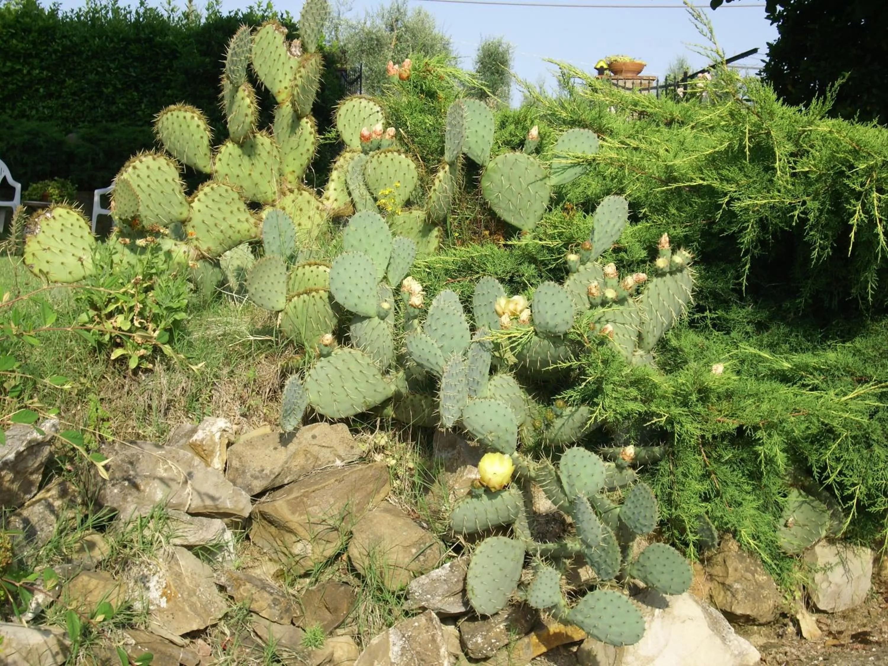 Other in Casa Lucia in Chianti