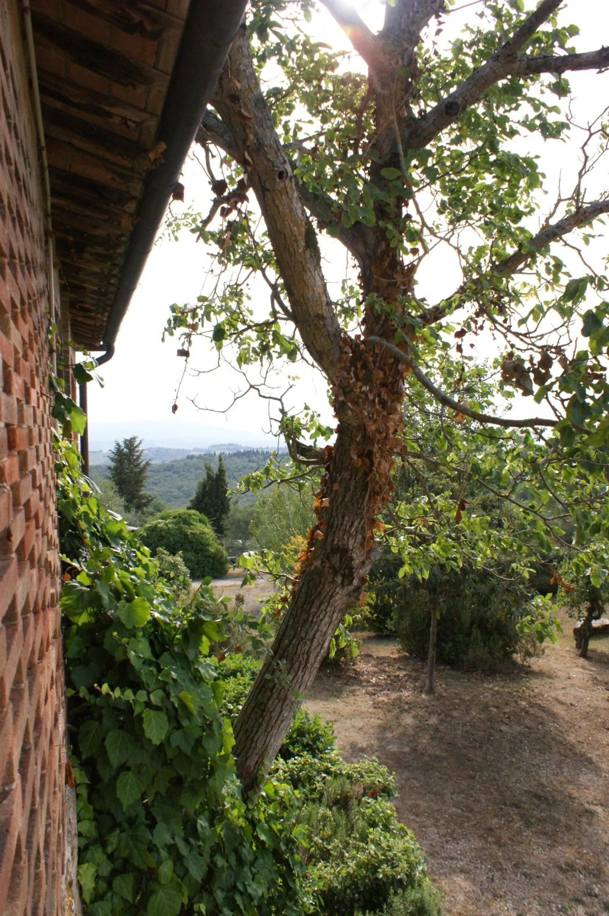 Garden in Casa Lucia in Chianti