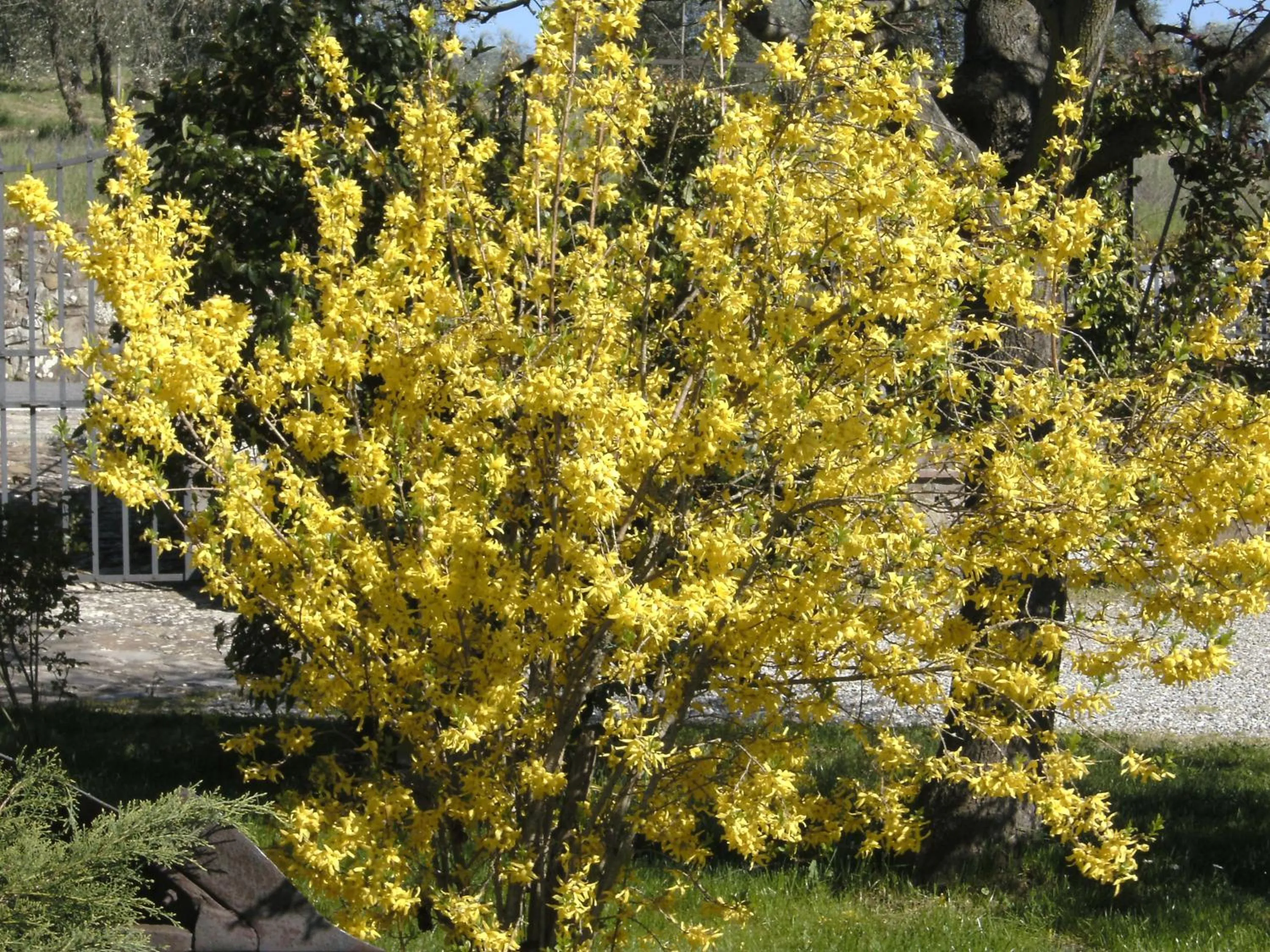 View (from property/room) in Casa Lucia in Chianti