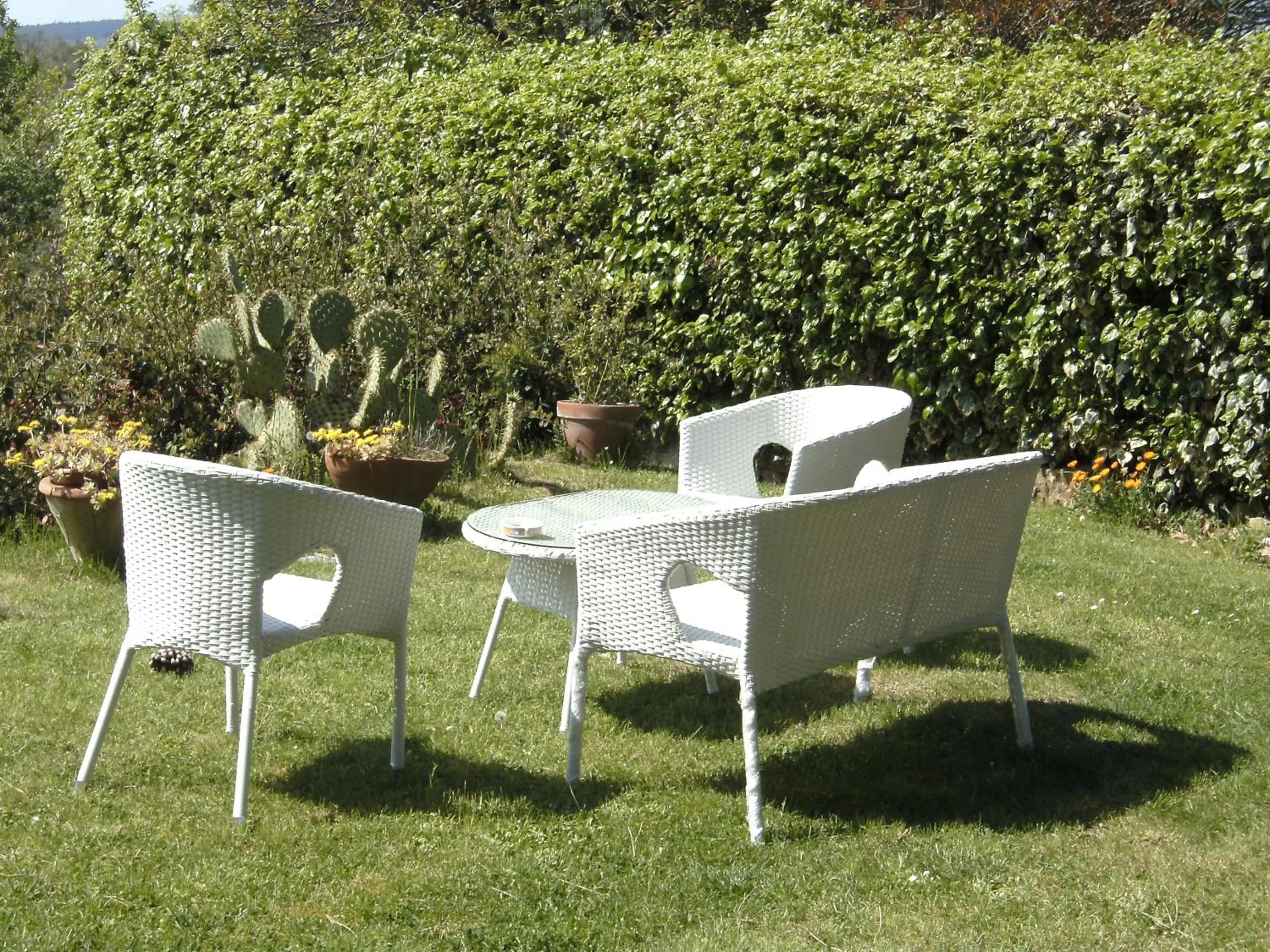 Garden in Casa Lucia in Chianti