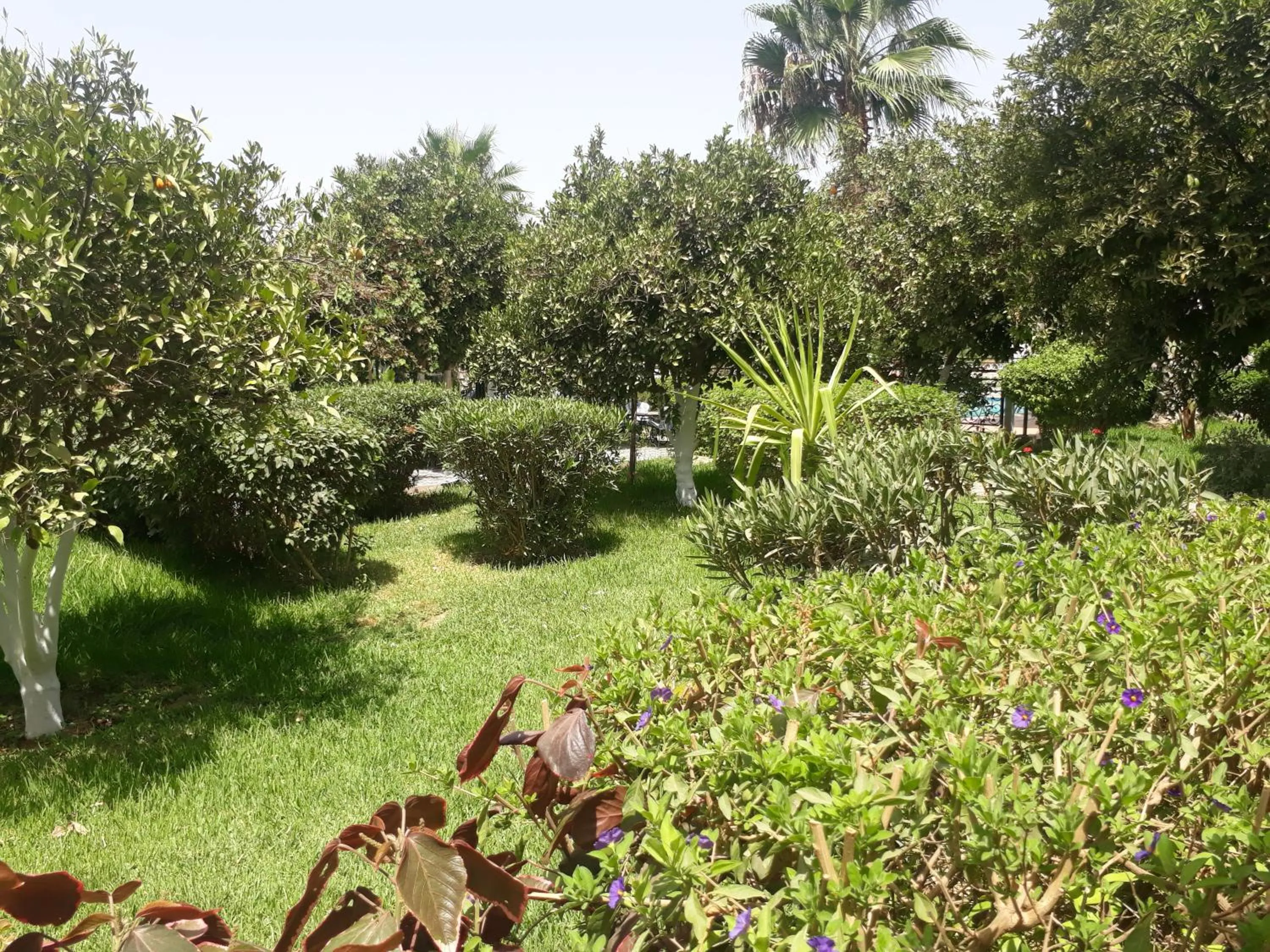 Almounia Hotel & Spa