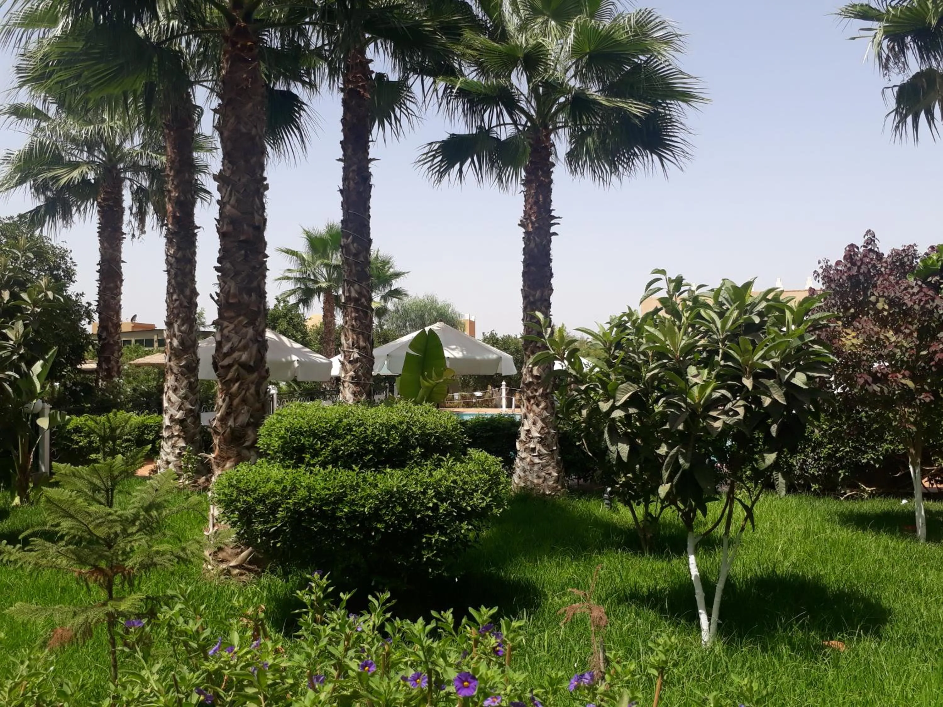 Almounia Hotel & Spa