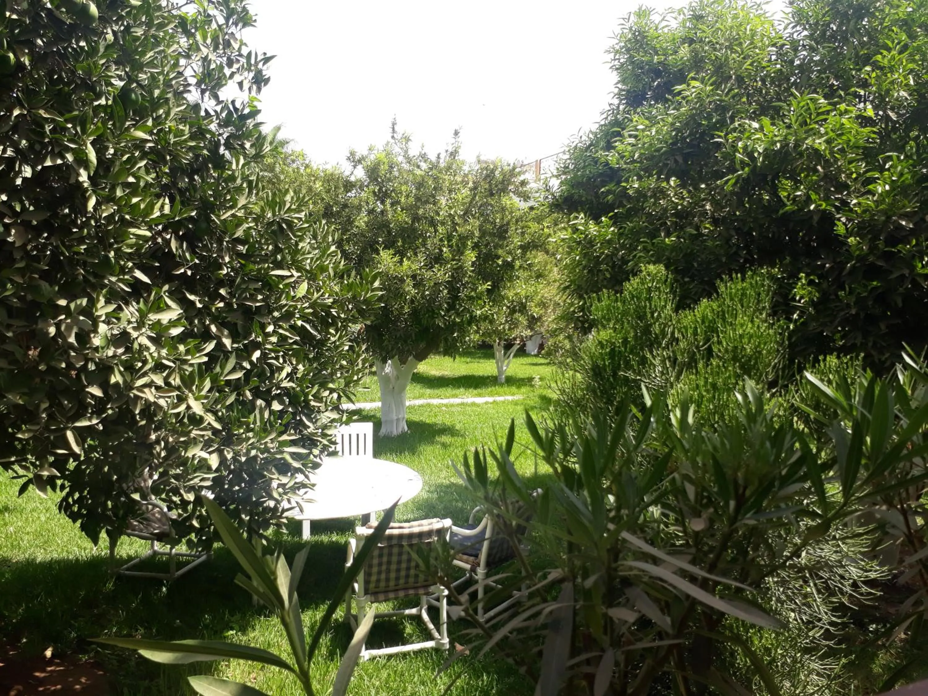 Almounia Hotel & Spa