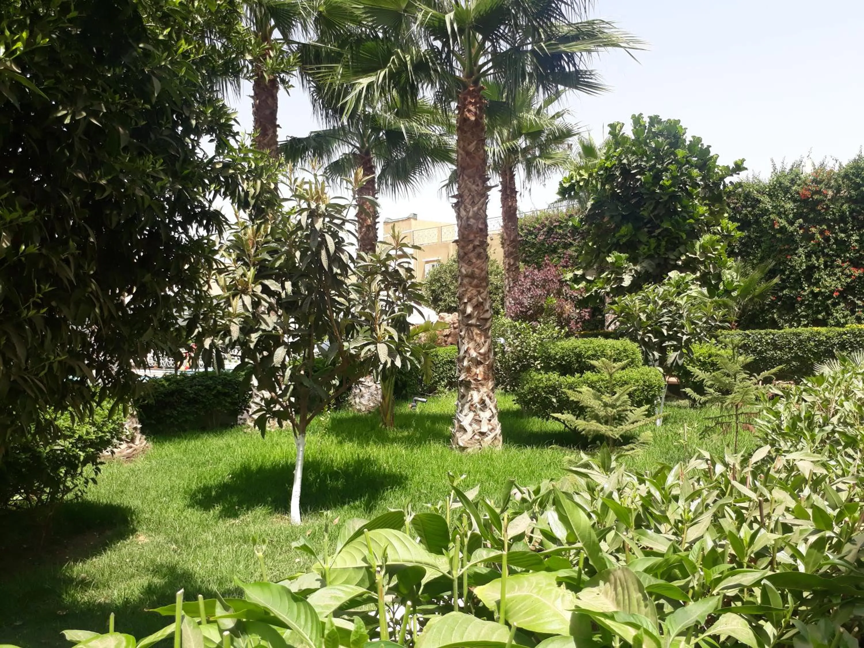 Almounia Hotel & Spa