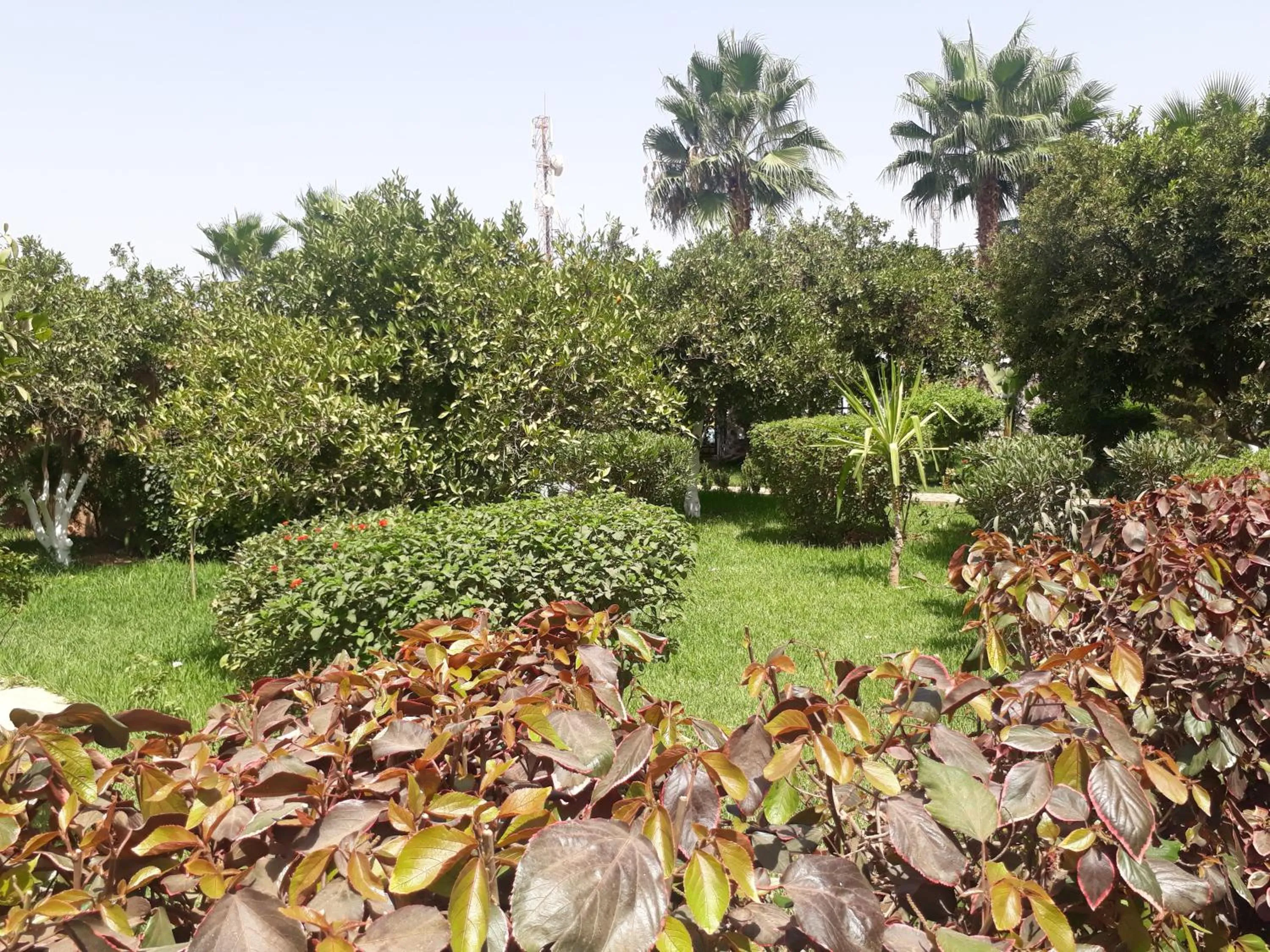 Almounia Hotel & Spa