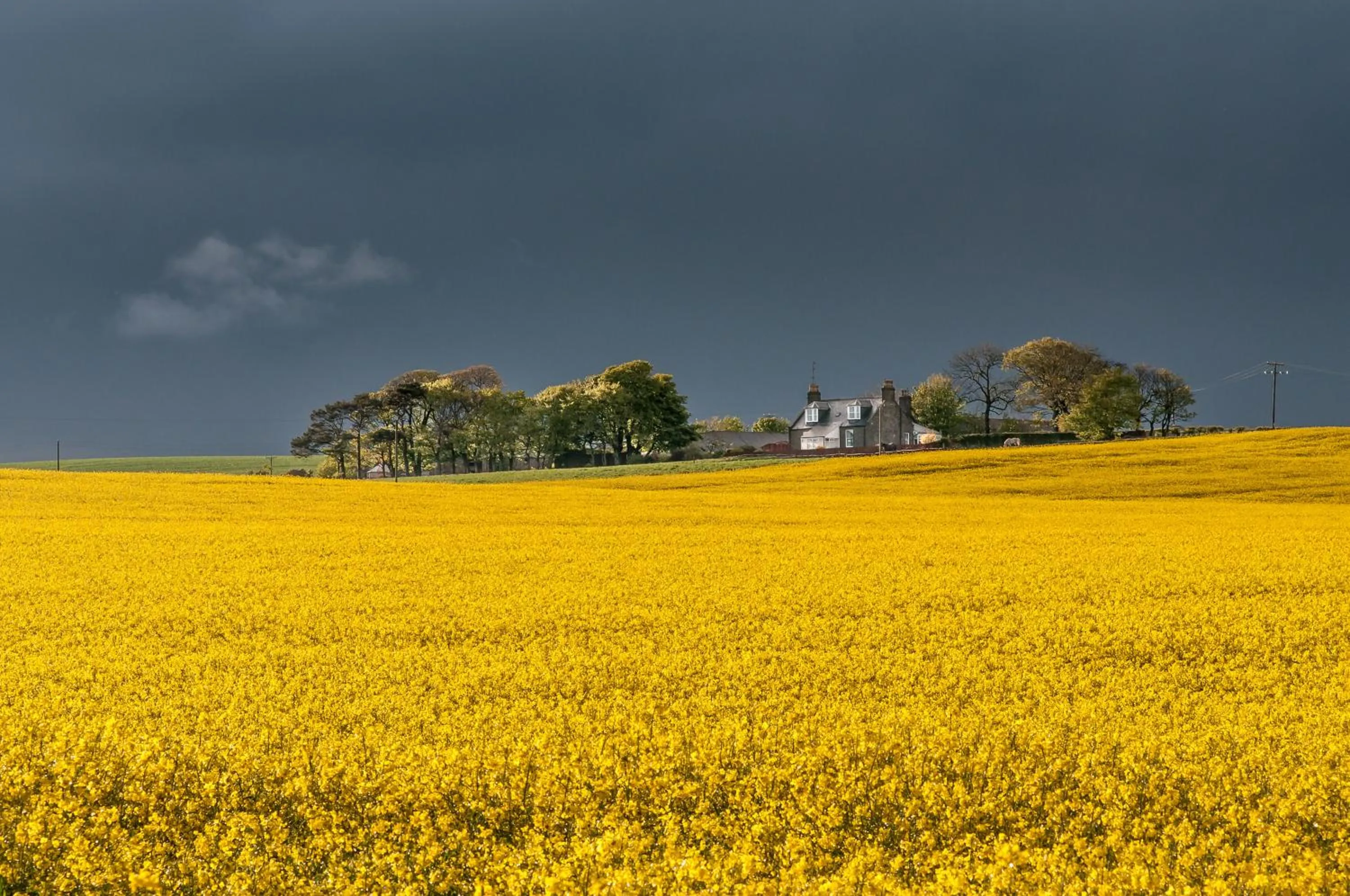 Natural landscape in Rooms at 31
