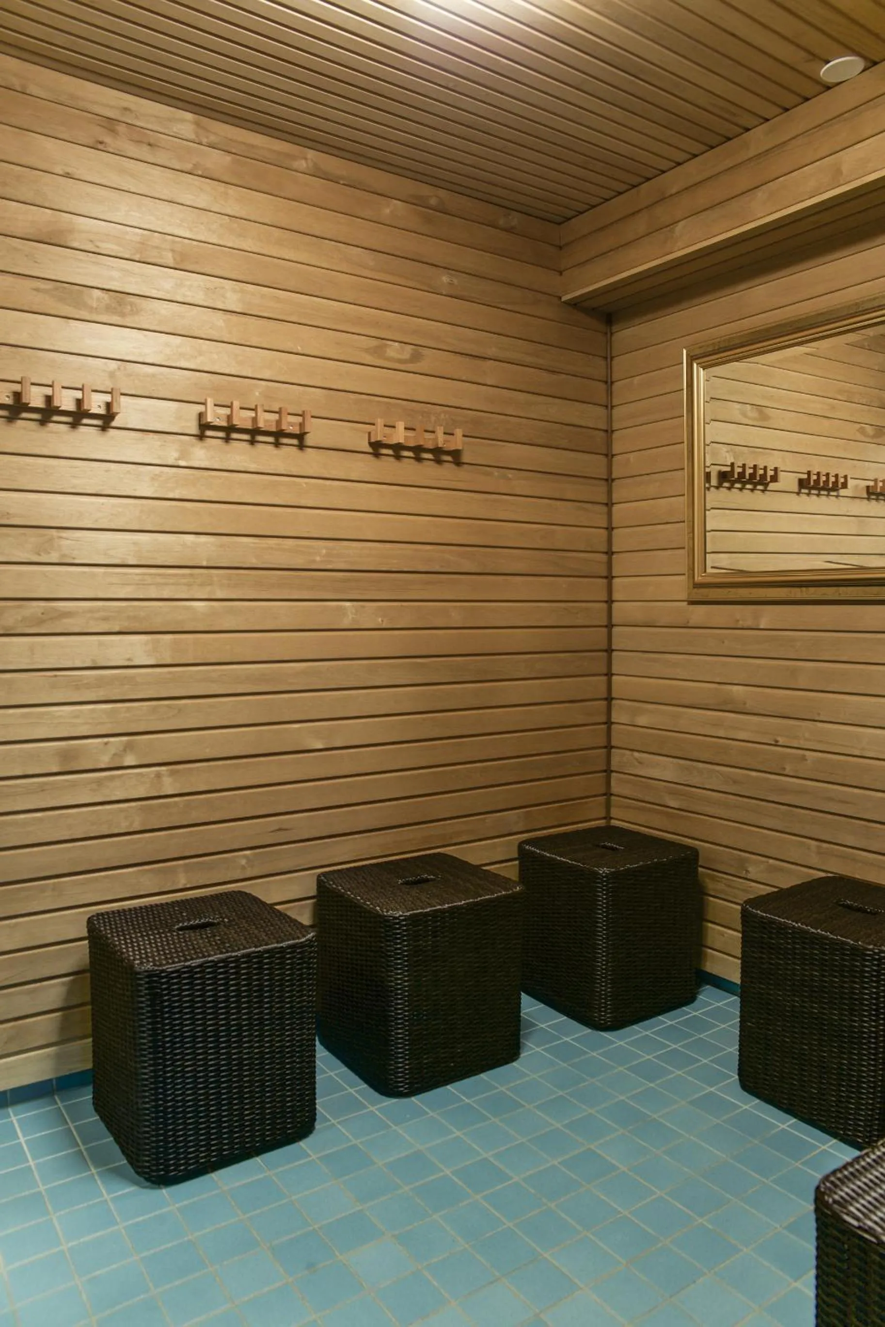 Spa and wellness centre/facilities in Hotel Fjalar