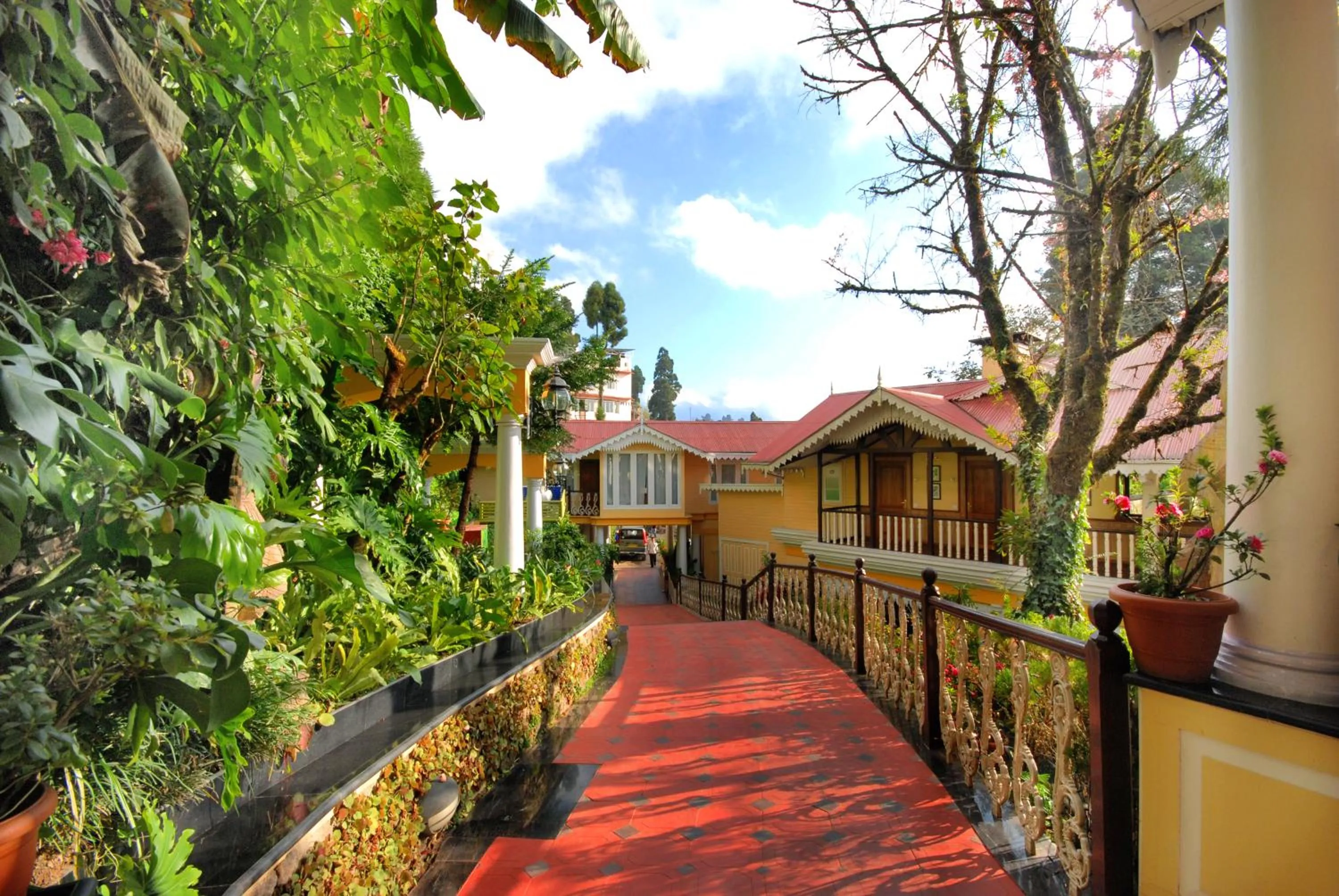 Garden in Mayfair Darjeeling