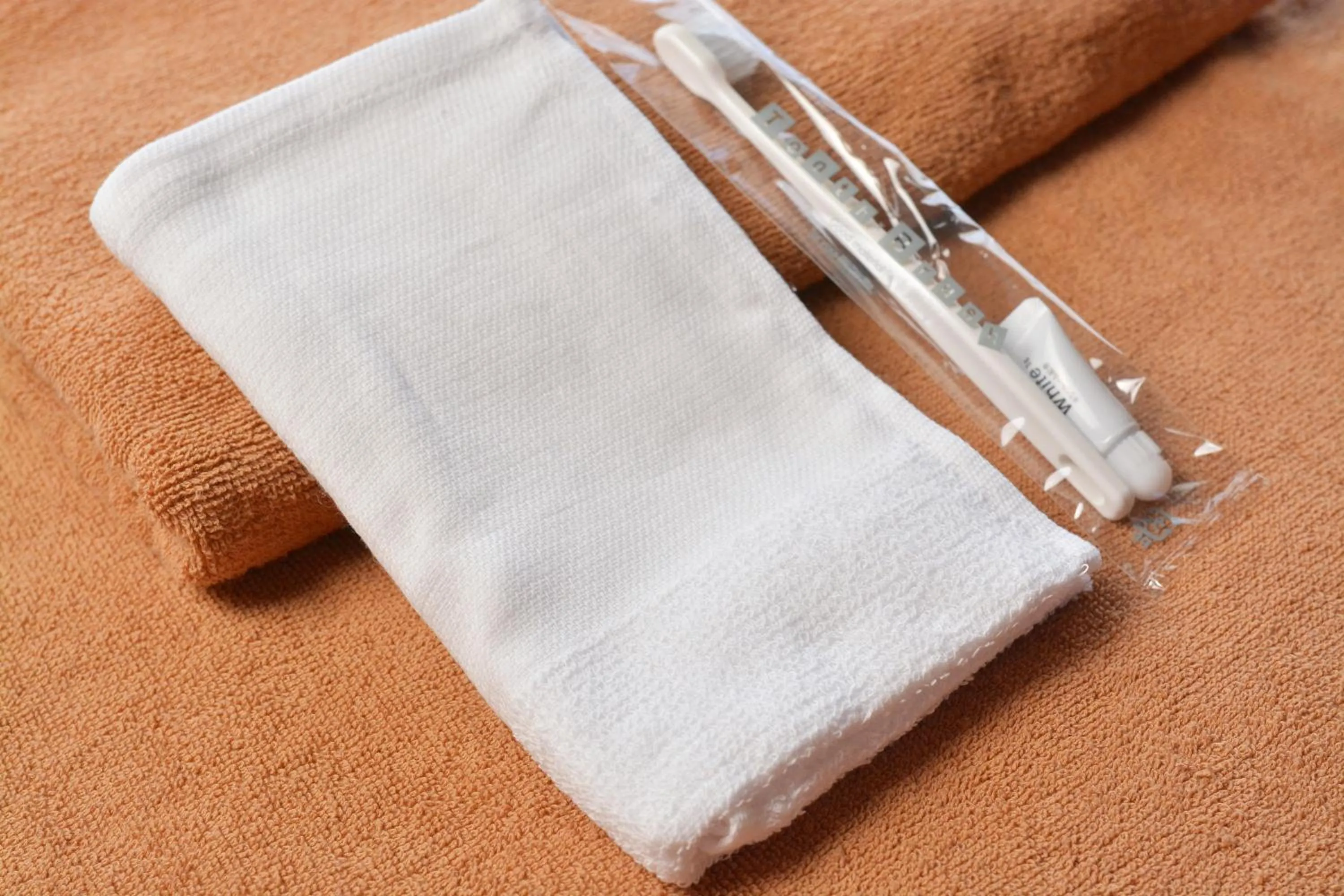 Other in Nikko Tokinoyuu