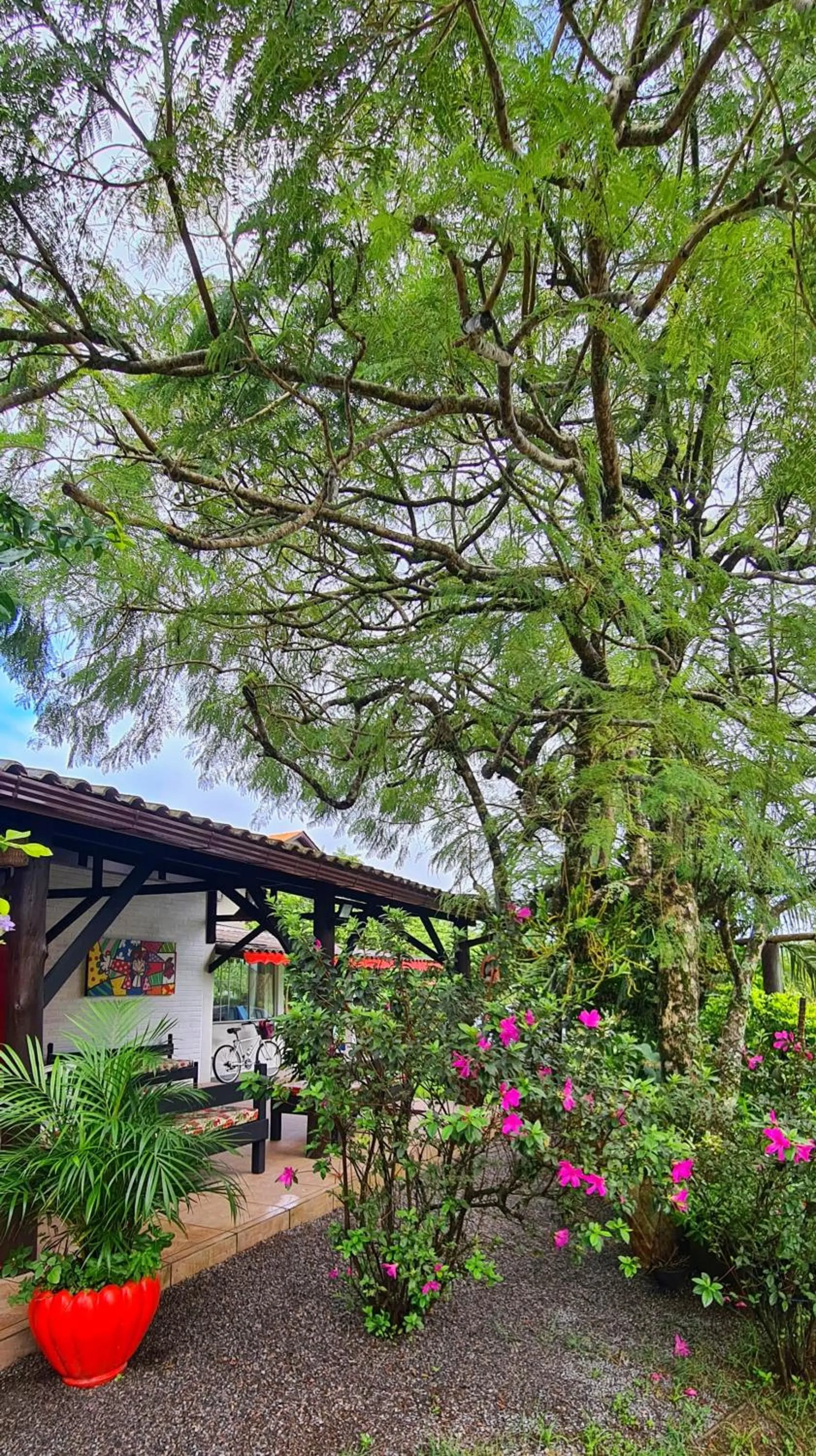 Garden in Pousada Areias do Embaú