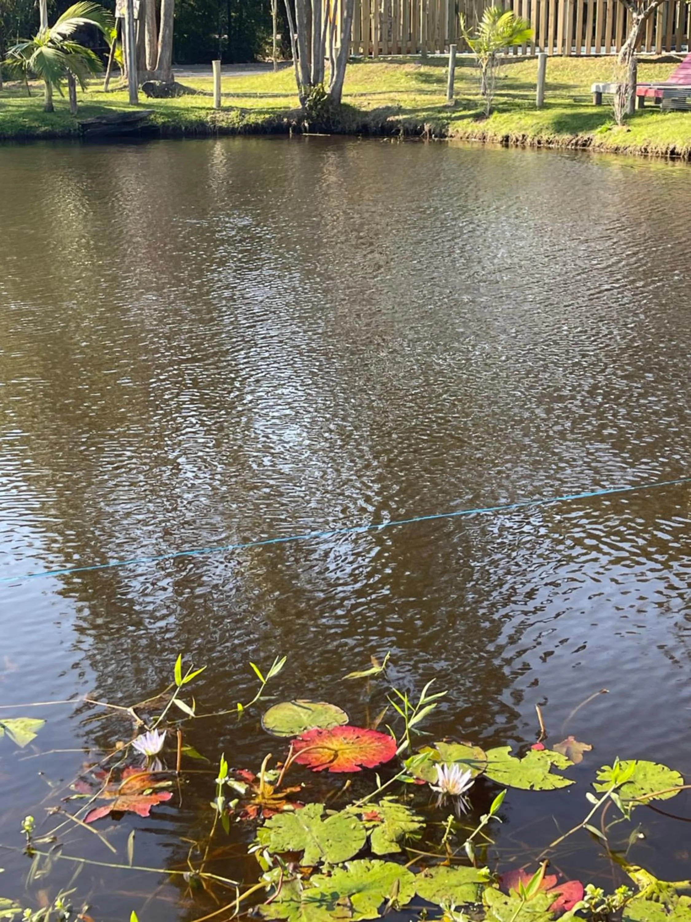 Coffee/tea facilities in Pousada Areias do Embaú