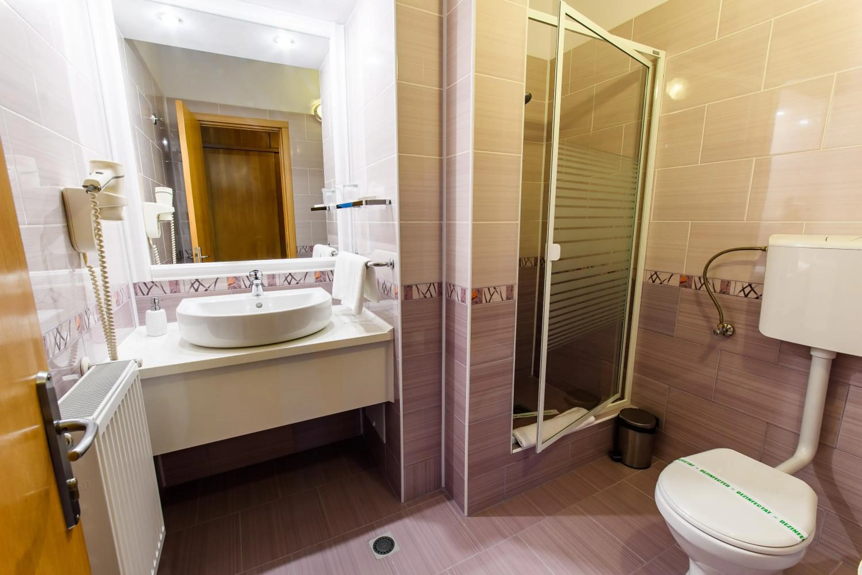 Bathroom in Hotel Torontal