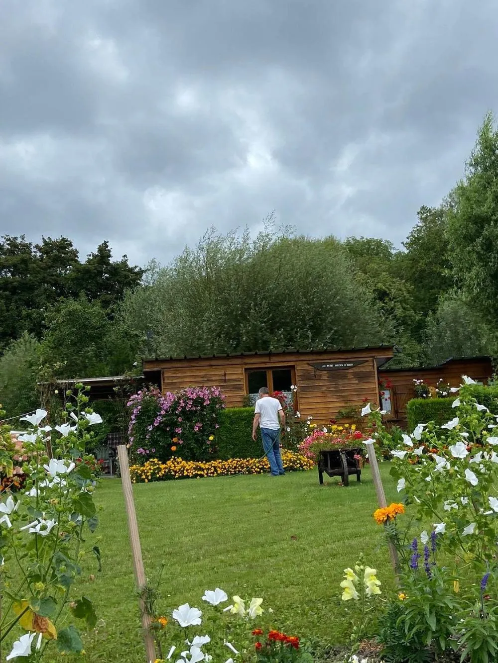 Natural landscape in Hotel Central Anzac