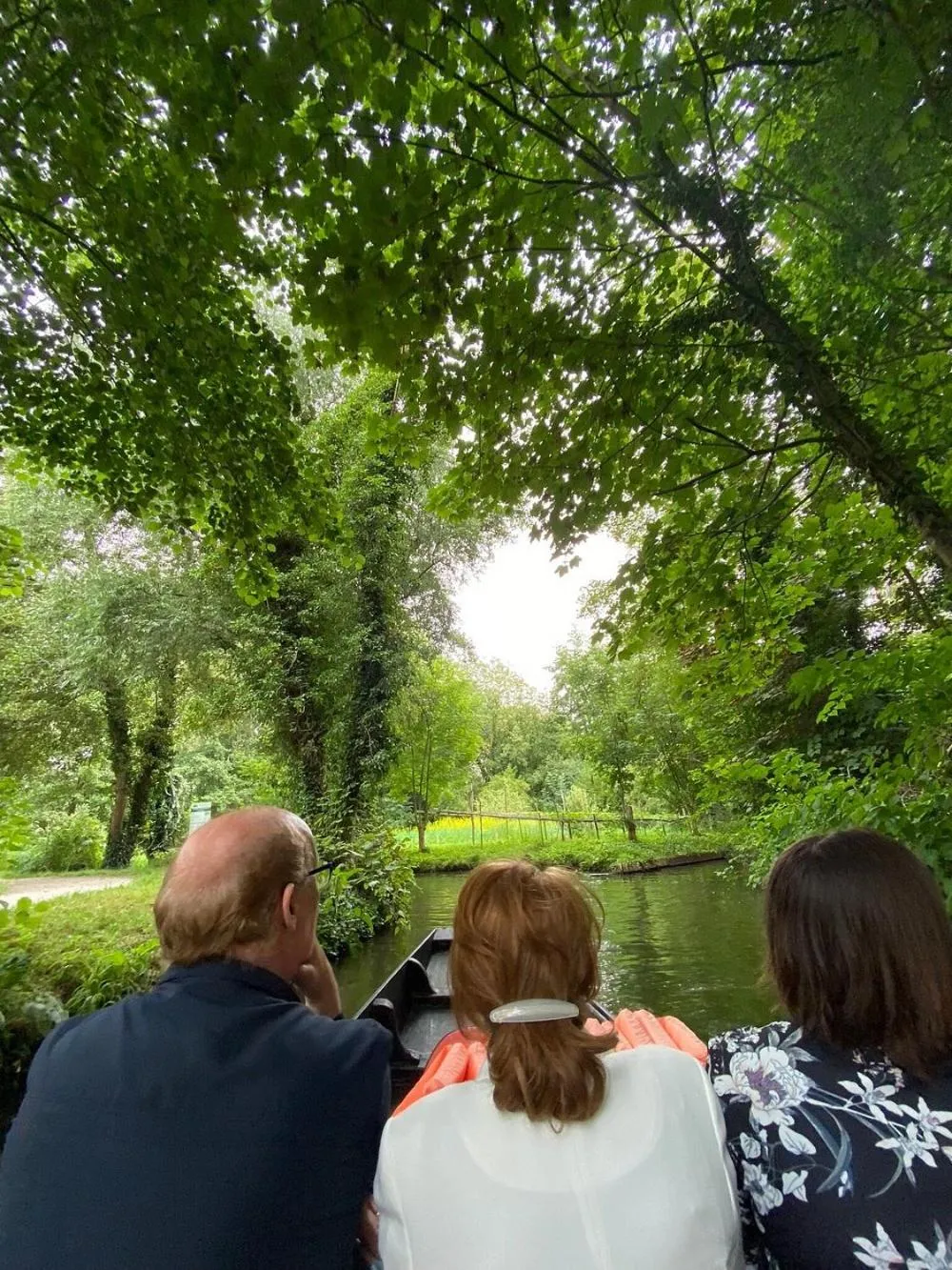 Natural landscape in Hotel Central Anzac