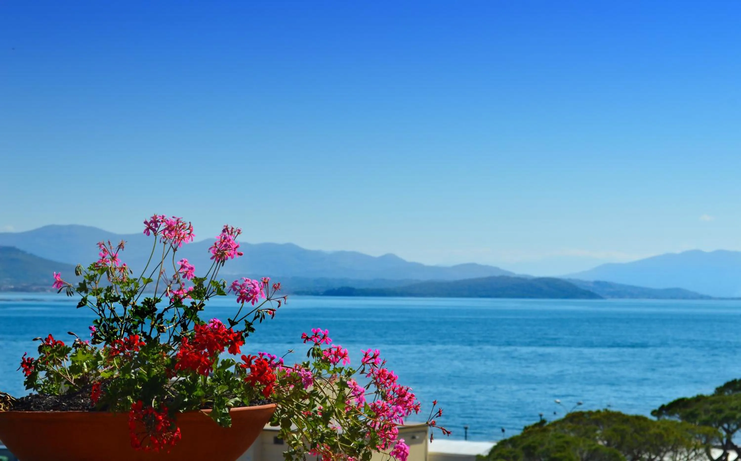 View (from property/room) in Hotel Gajeta