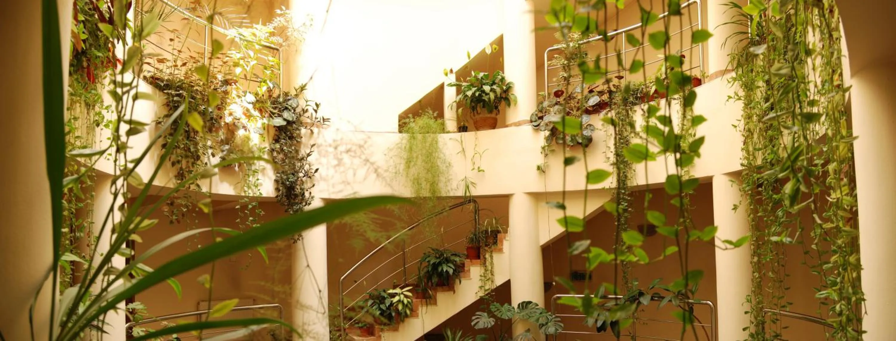 Decorative detail in Hotel Gallant Sibiu