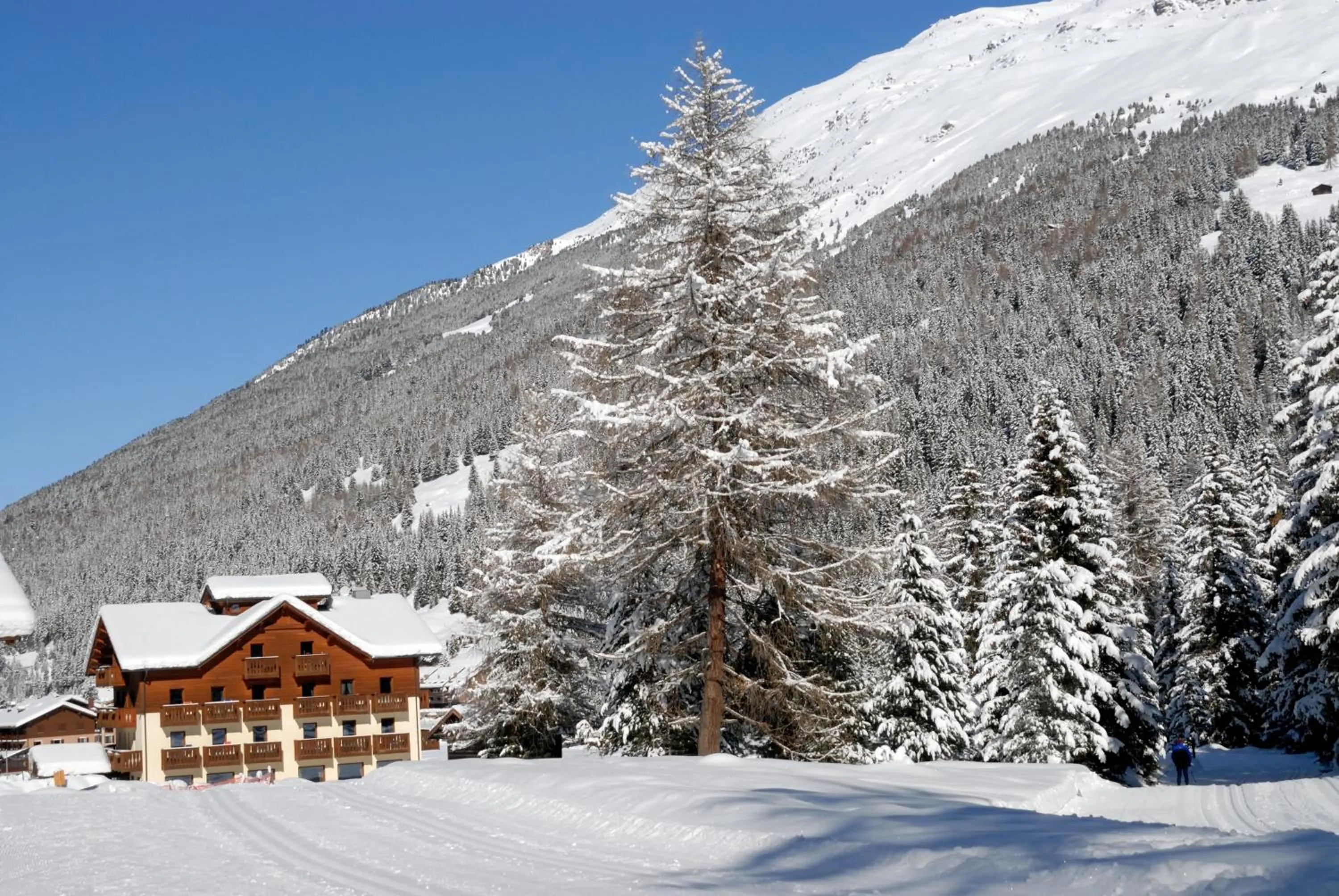 Neighbourhood in Hotel Cevedale