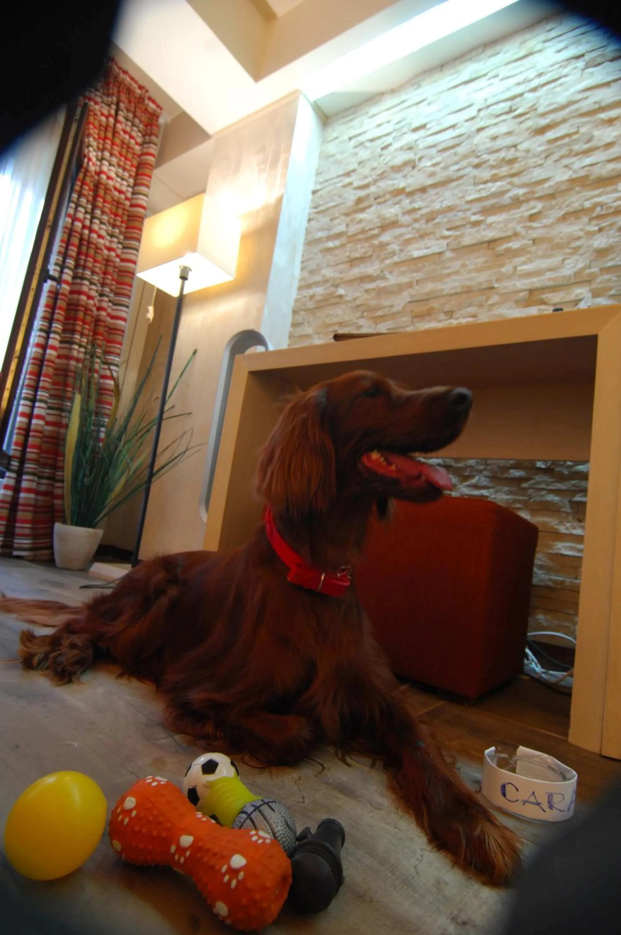 Ioana Boutique Hotel