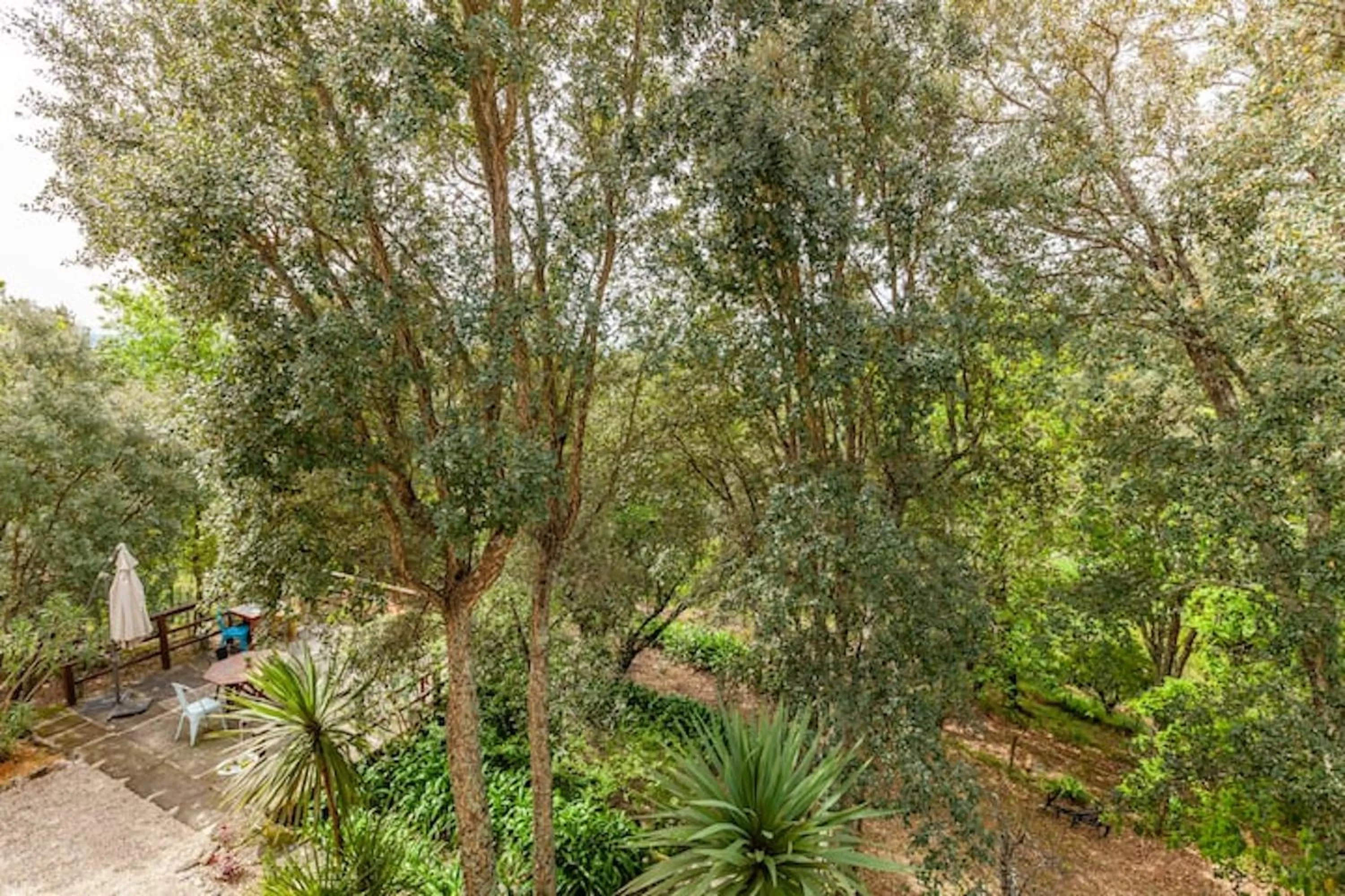 Garden in Casa do Cabeço