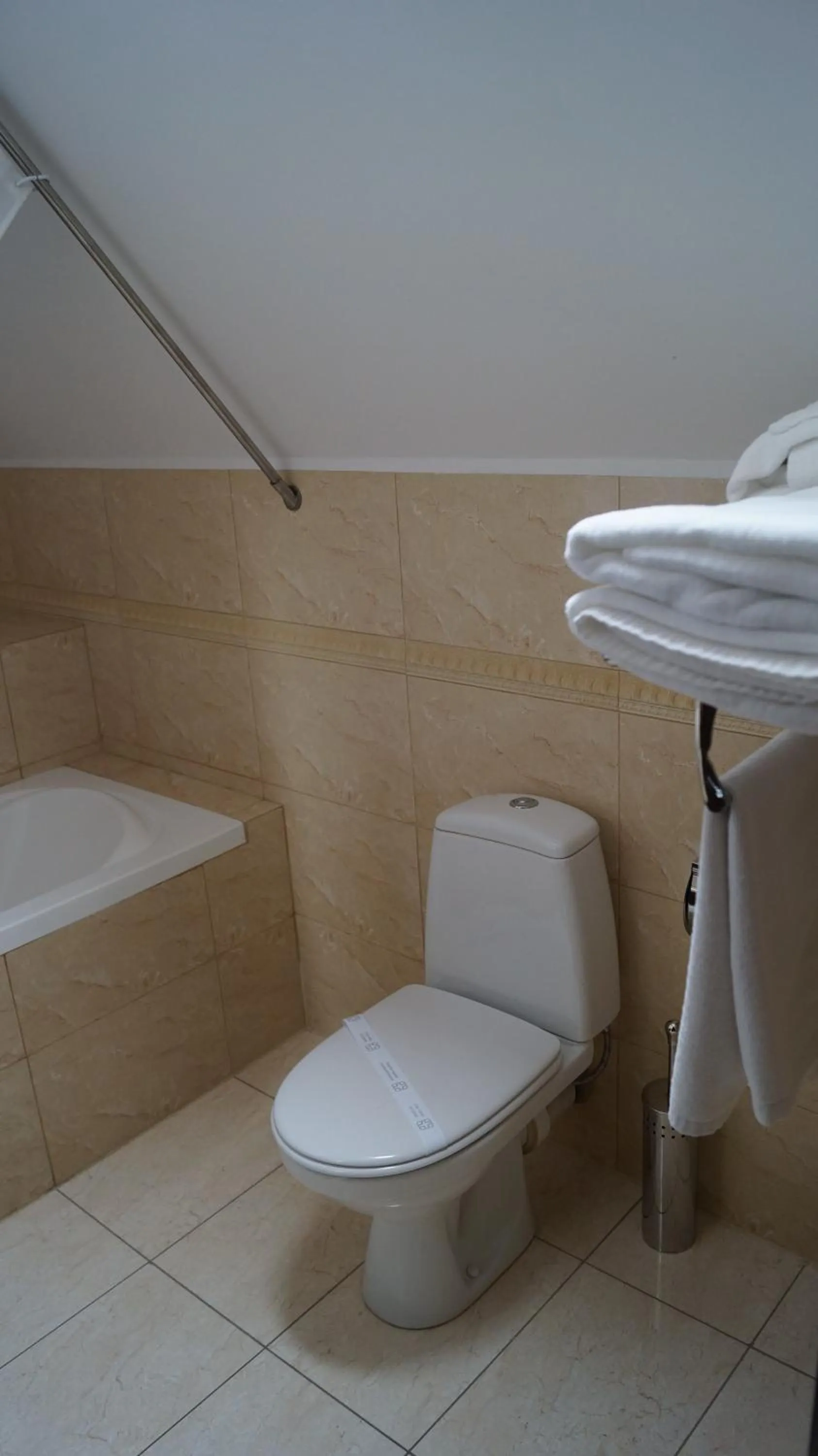 Bathroom in Hotel Bucegi