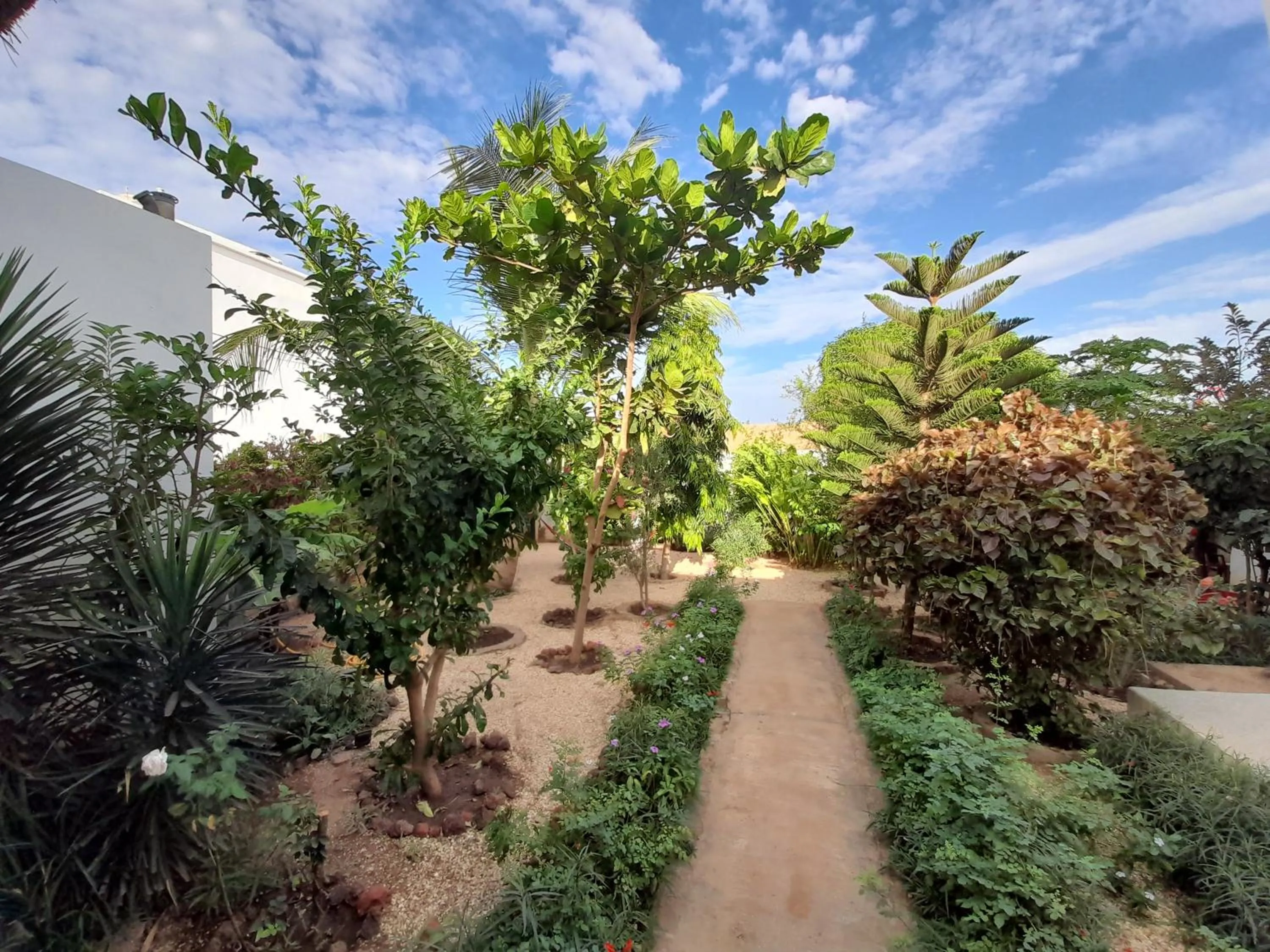 Garden in Bine Bassile