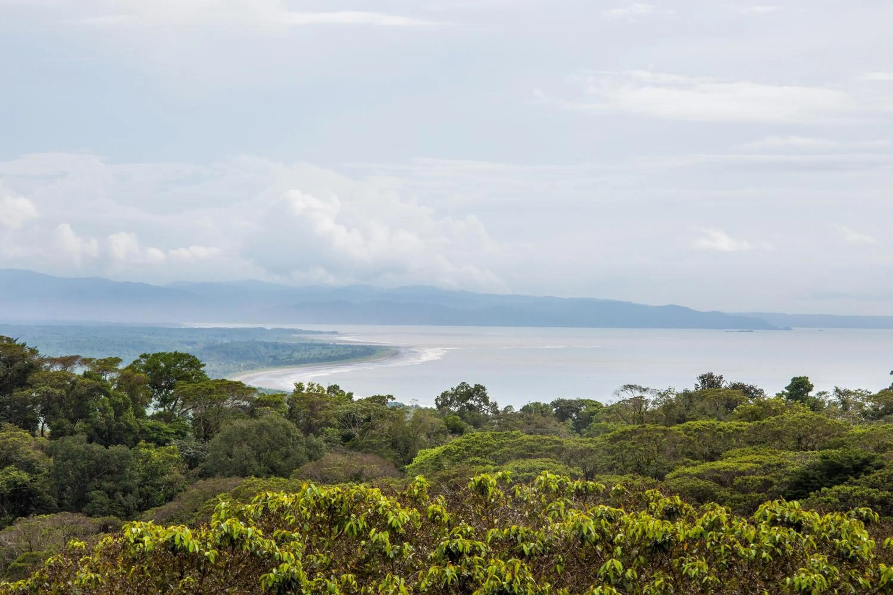 Garden in Hotel Three Sixty - Adults Only