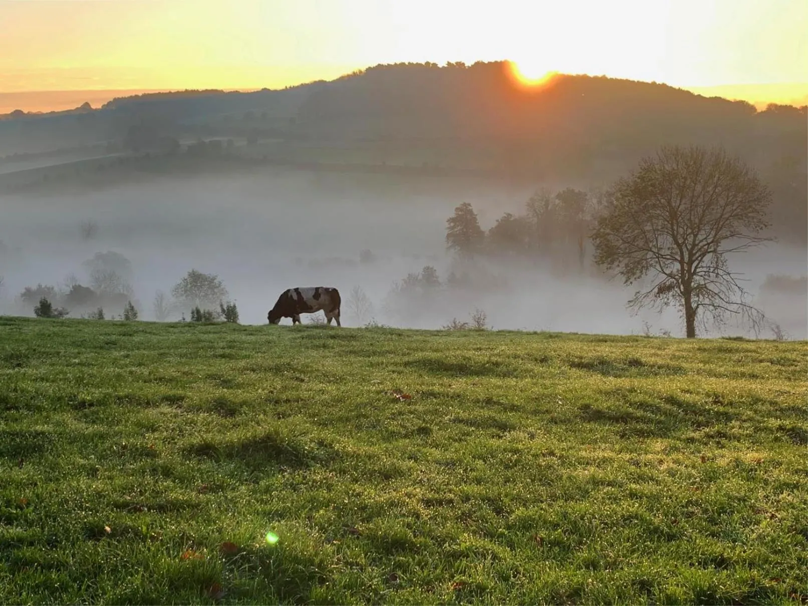 Blanckthys Hotel Voeren