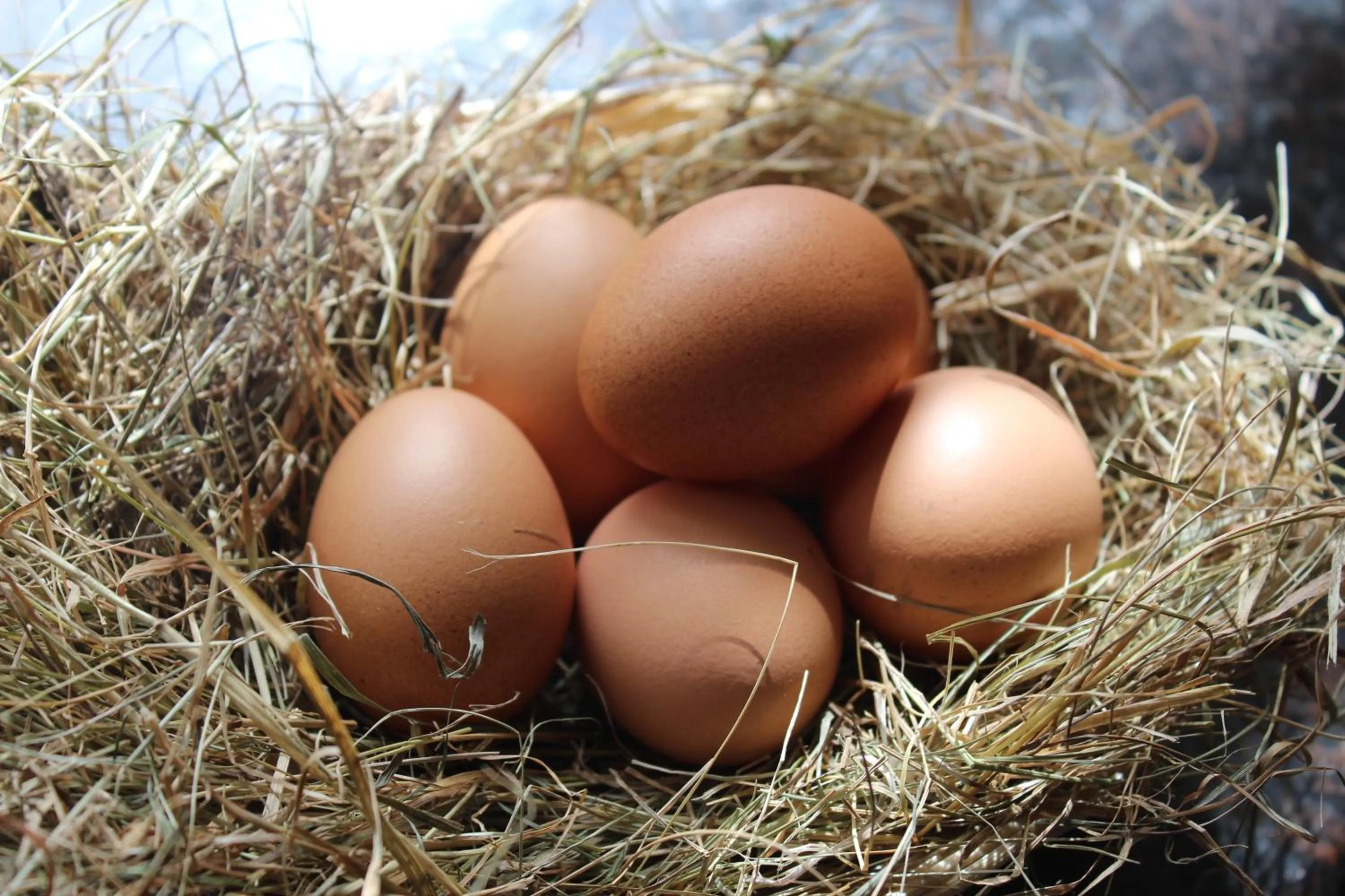 On site in Brambling Fields B&B and Cottages