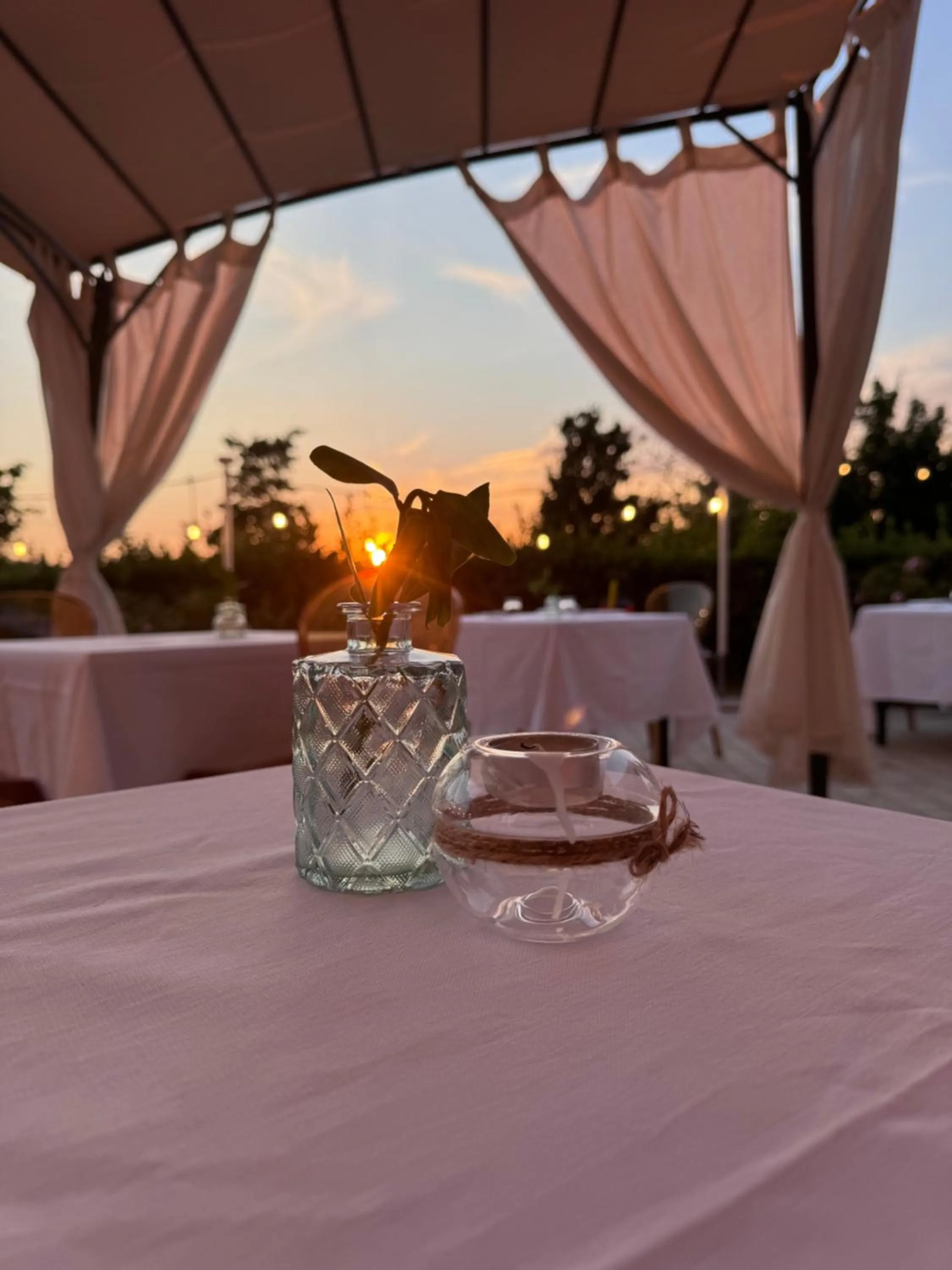 Garden view in Grand Hotel Forlì