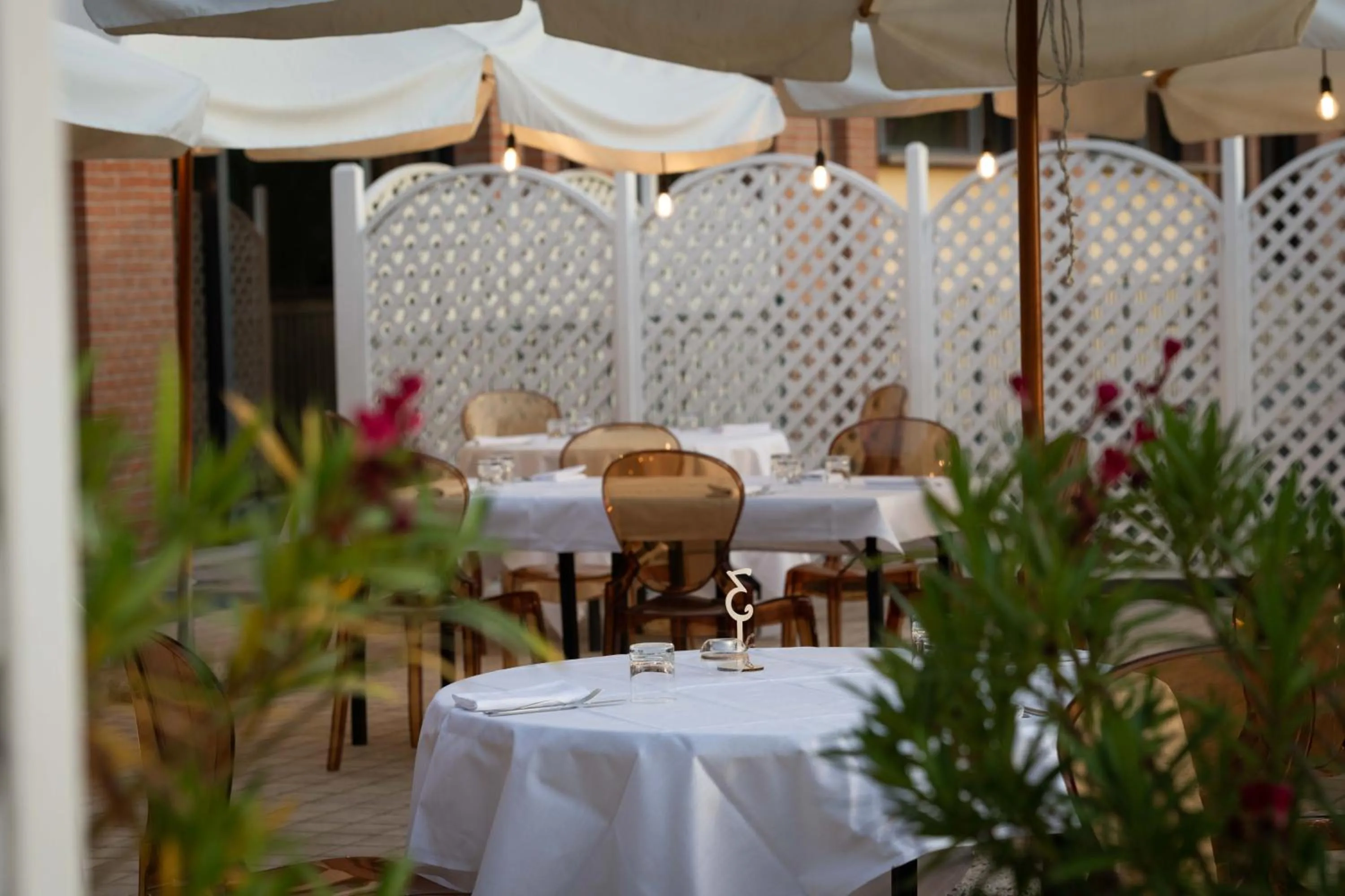 Garden in Grand Hotel Forlì