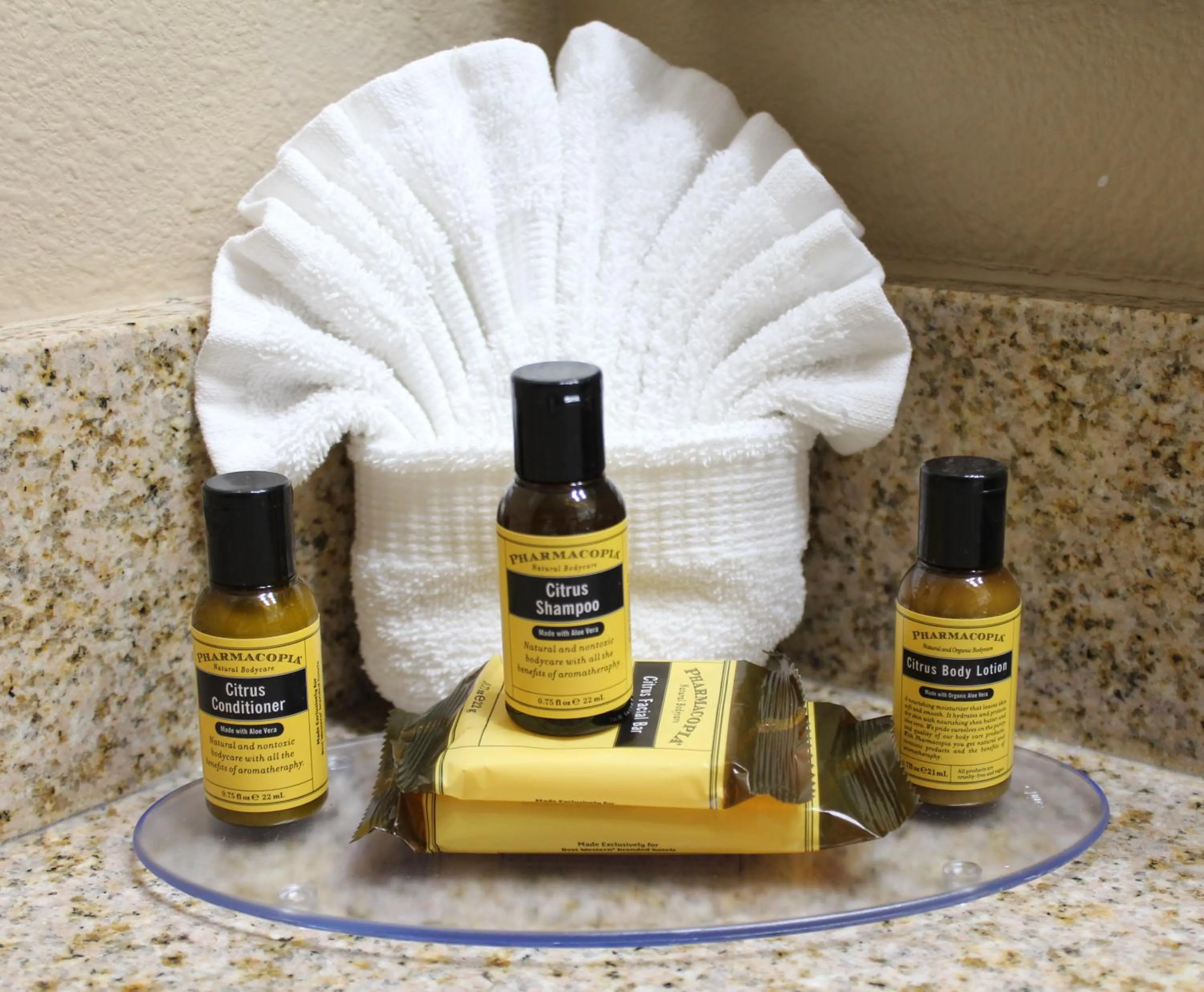 Bathroom in Best Western Plus Port of Camas-Washougal Convention Center