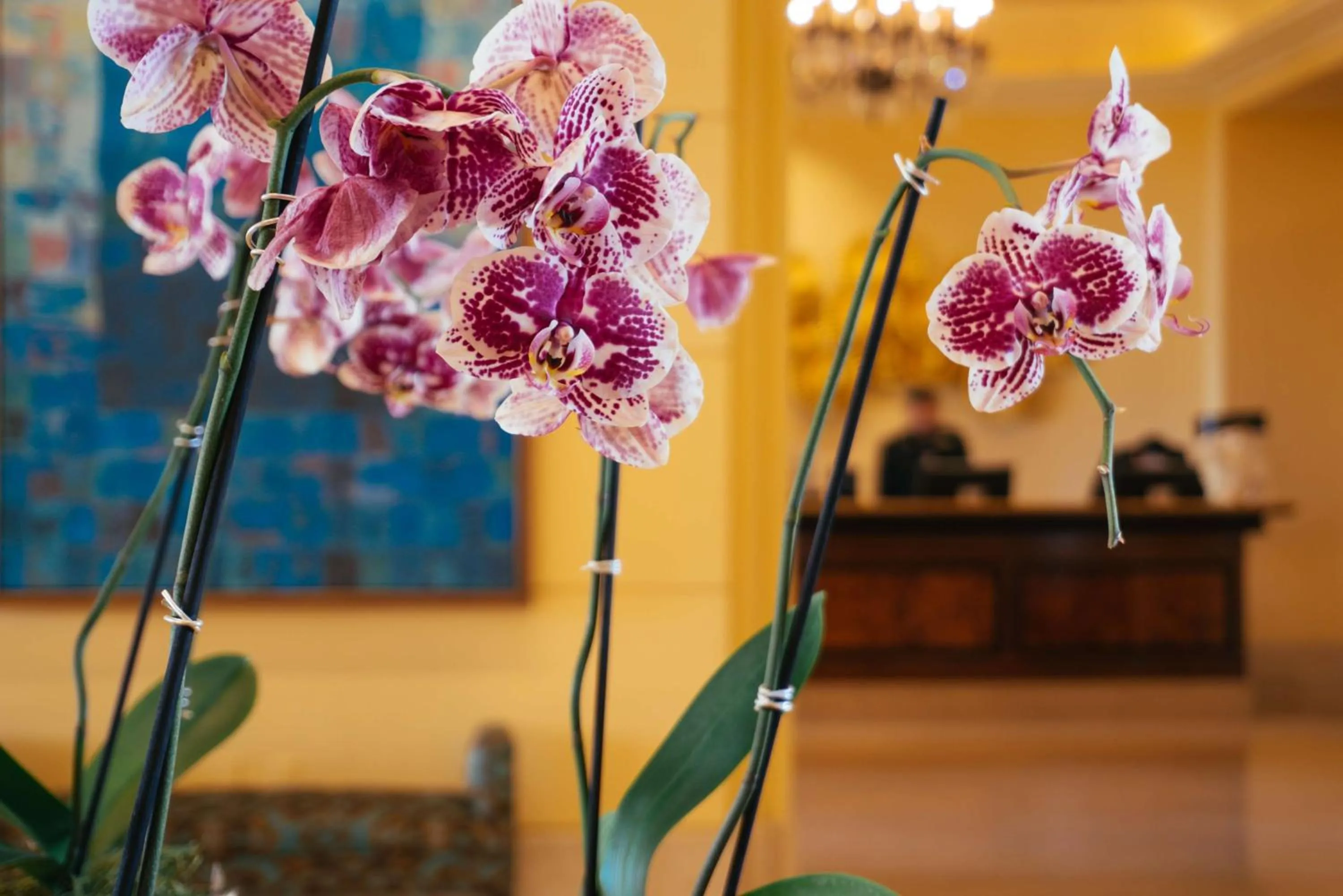 Lobby or reception in Hilton Lake Las Vegas Resort & Spa