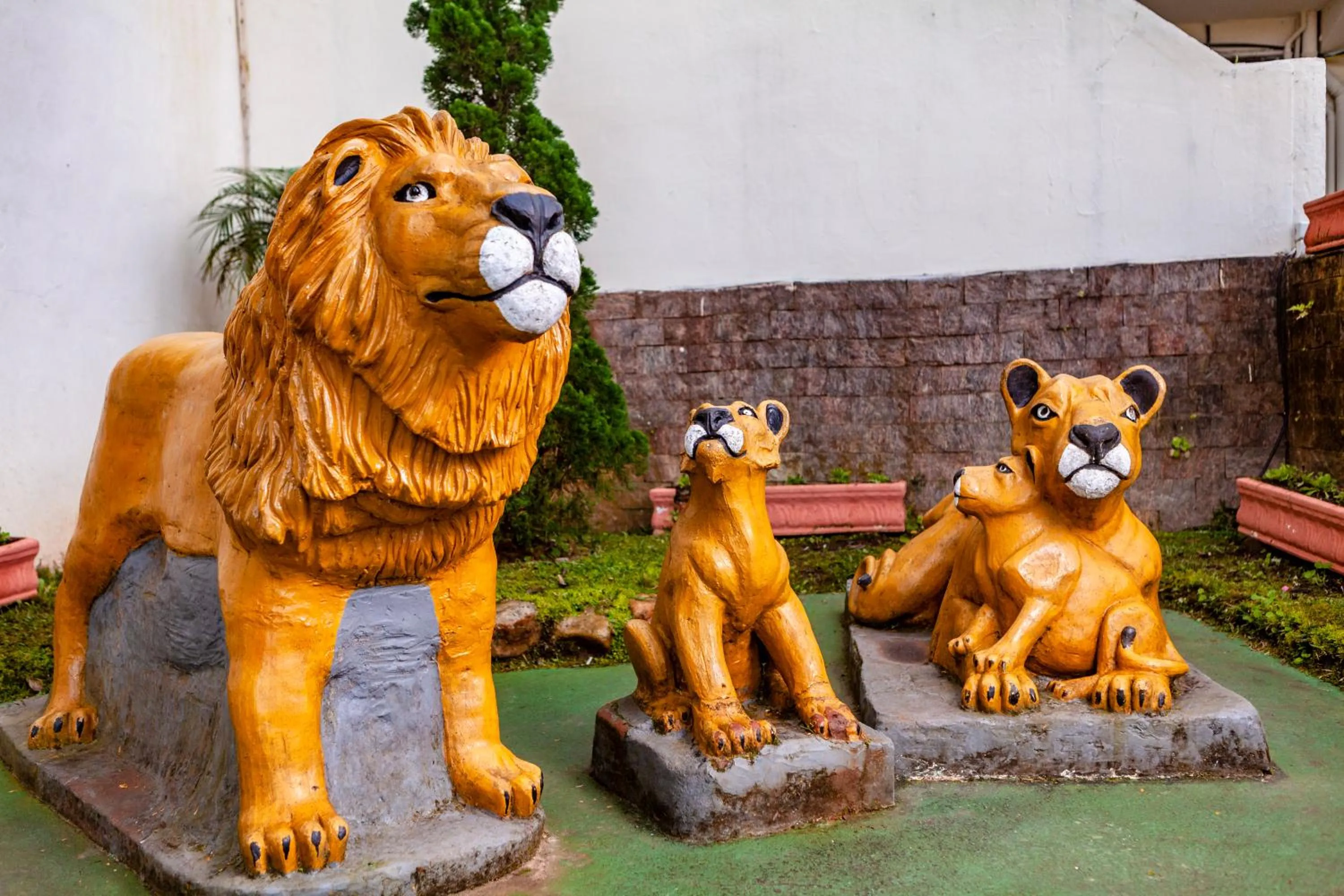 Other in Hotel Leão da Montanha