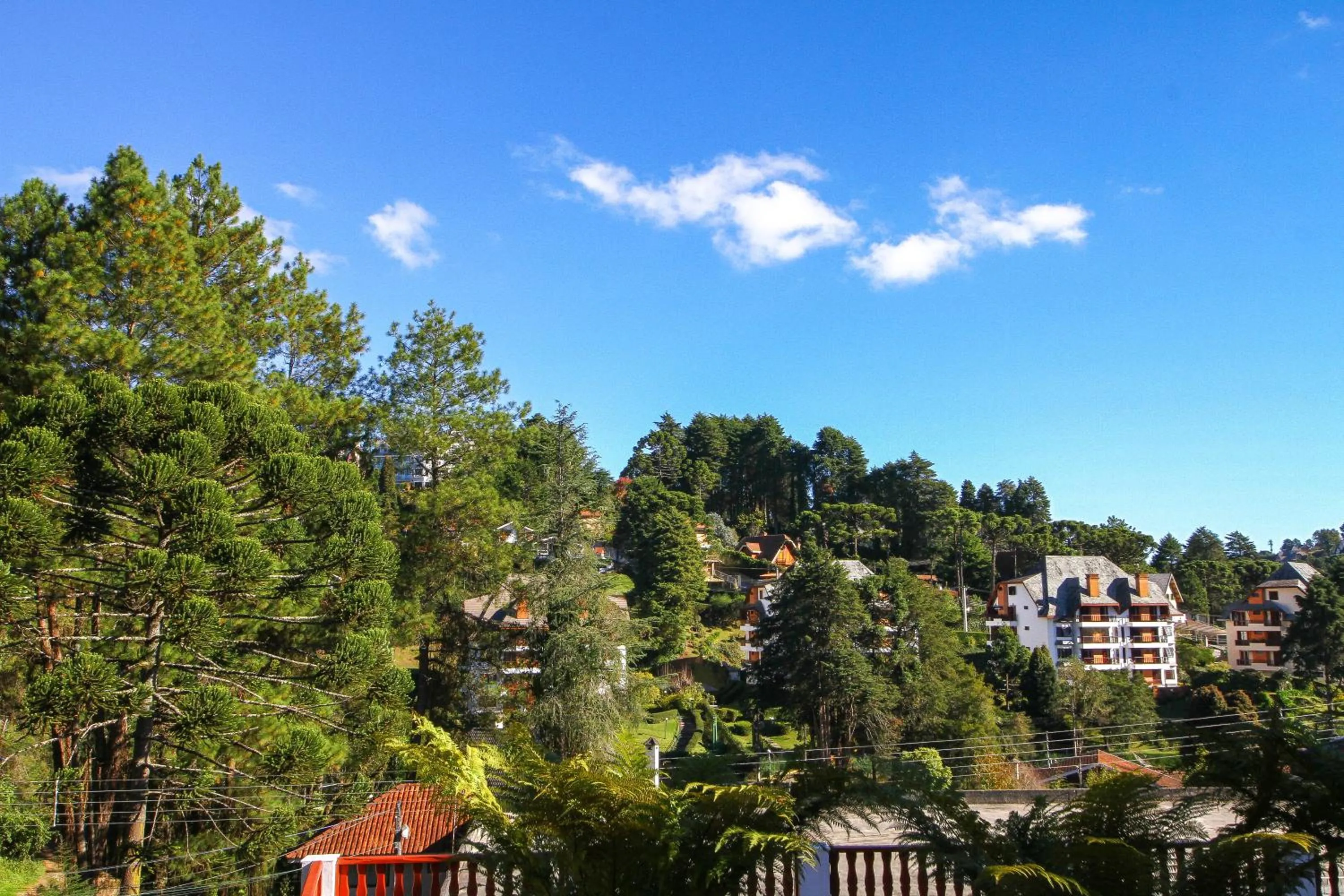 Mountain view in Hotel Leão da Montanha