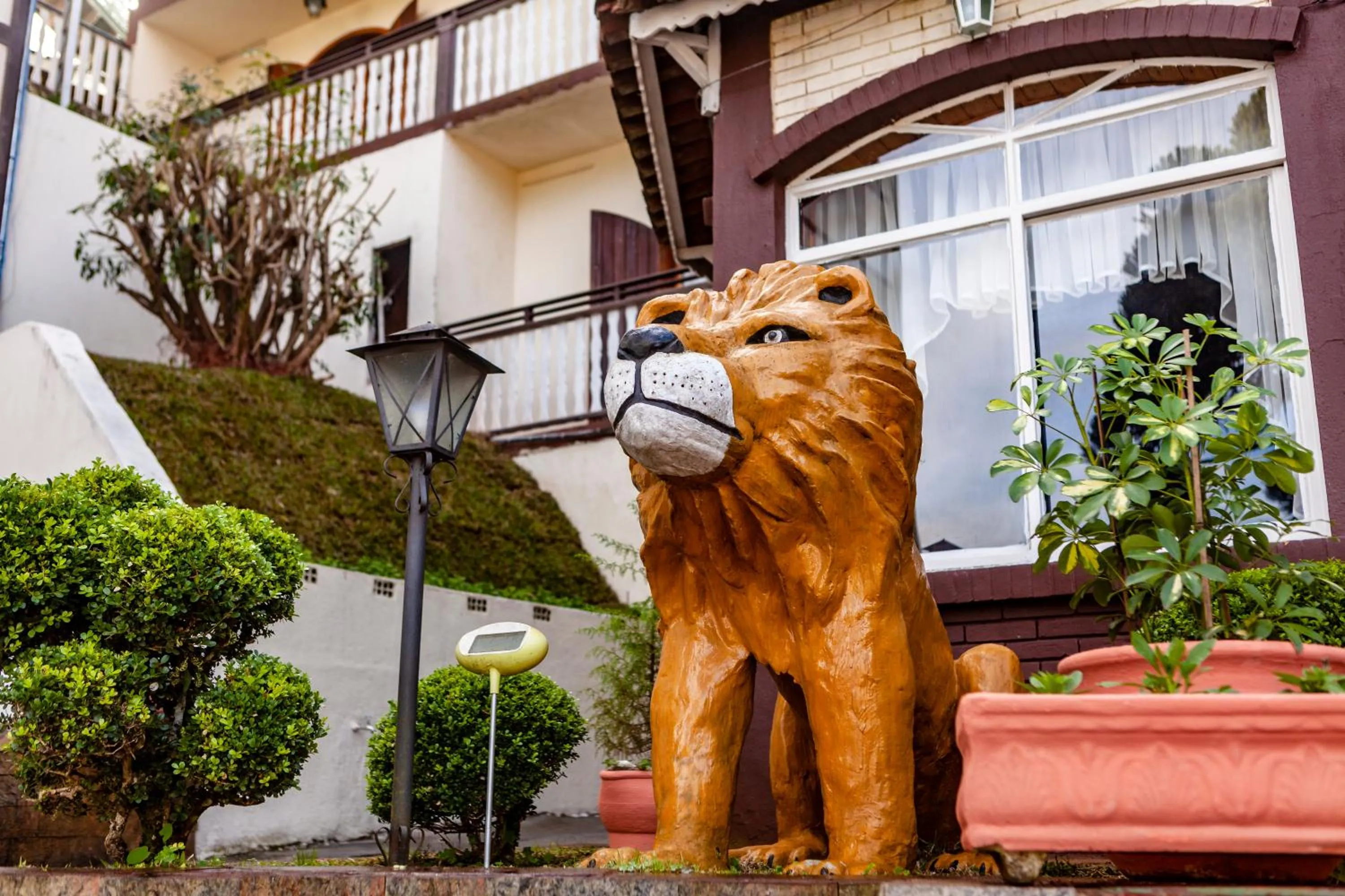 Other in Hotel Leão da Montanha