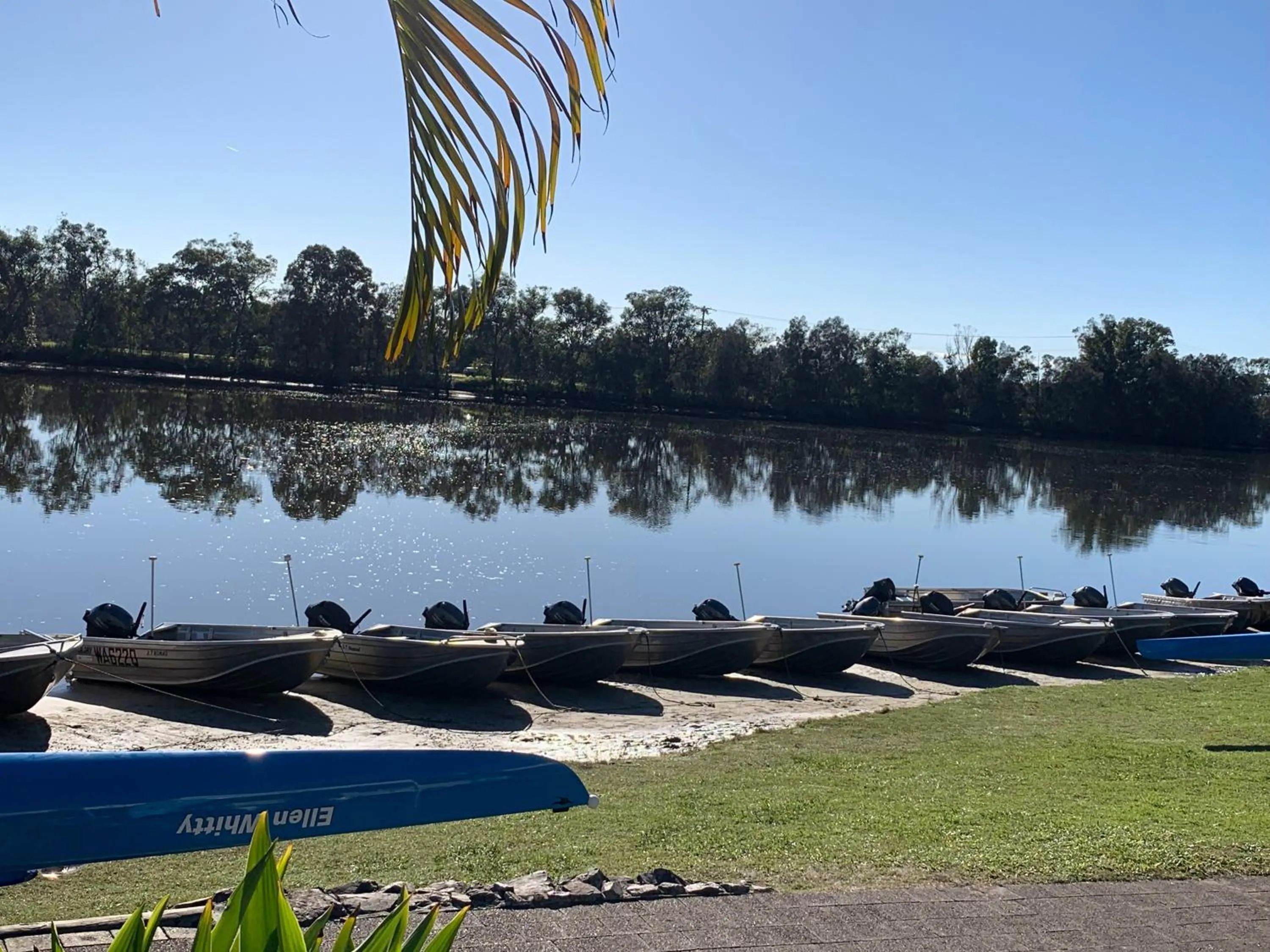 Natural landscape in Maroochy River Bungalows