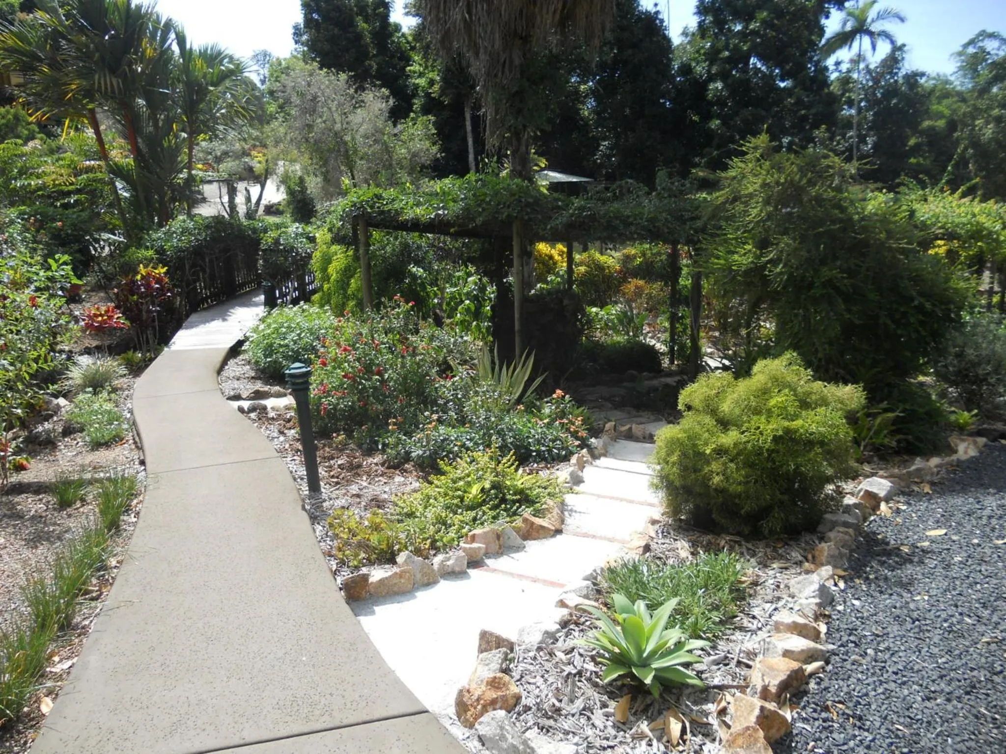 Garden in Licuala Lodge