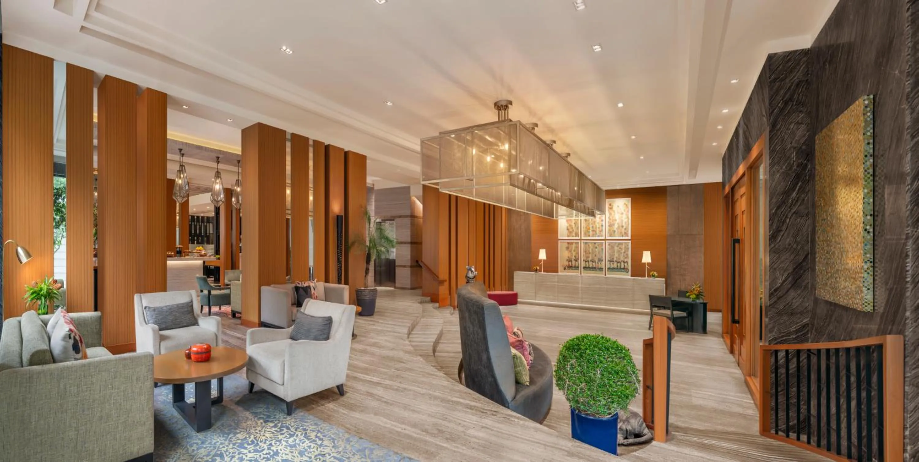 Lobby or reception in The Raintree, St. Mary’s Road