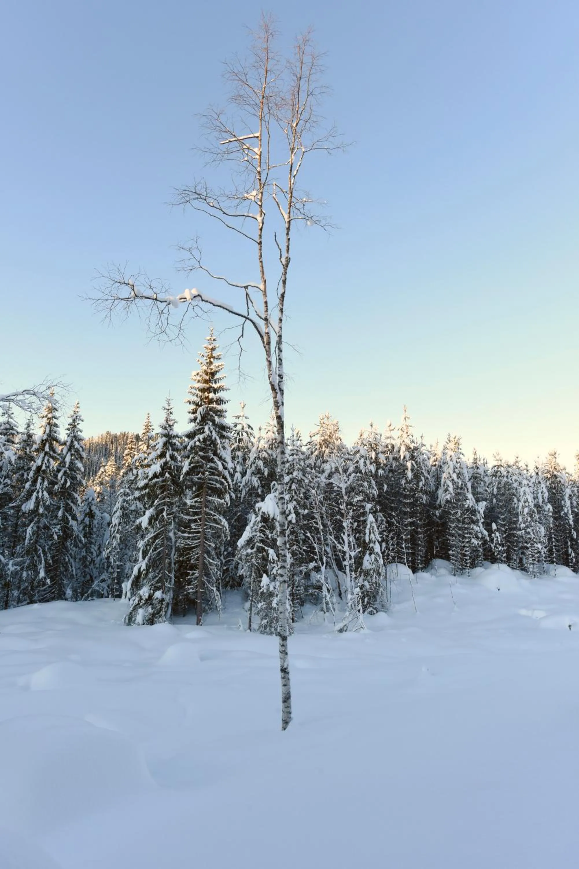 Mountain view in Koselig Hytte i Hemsedal