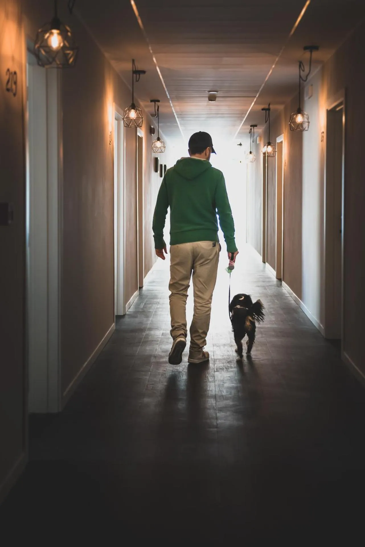 Pets in Hotel Vagabond