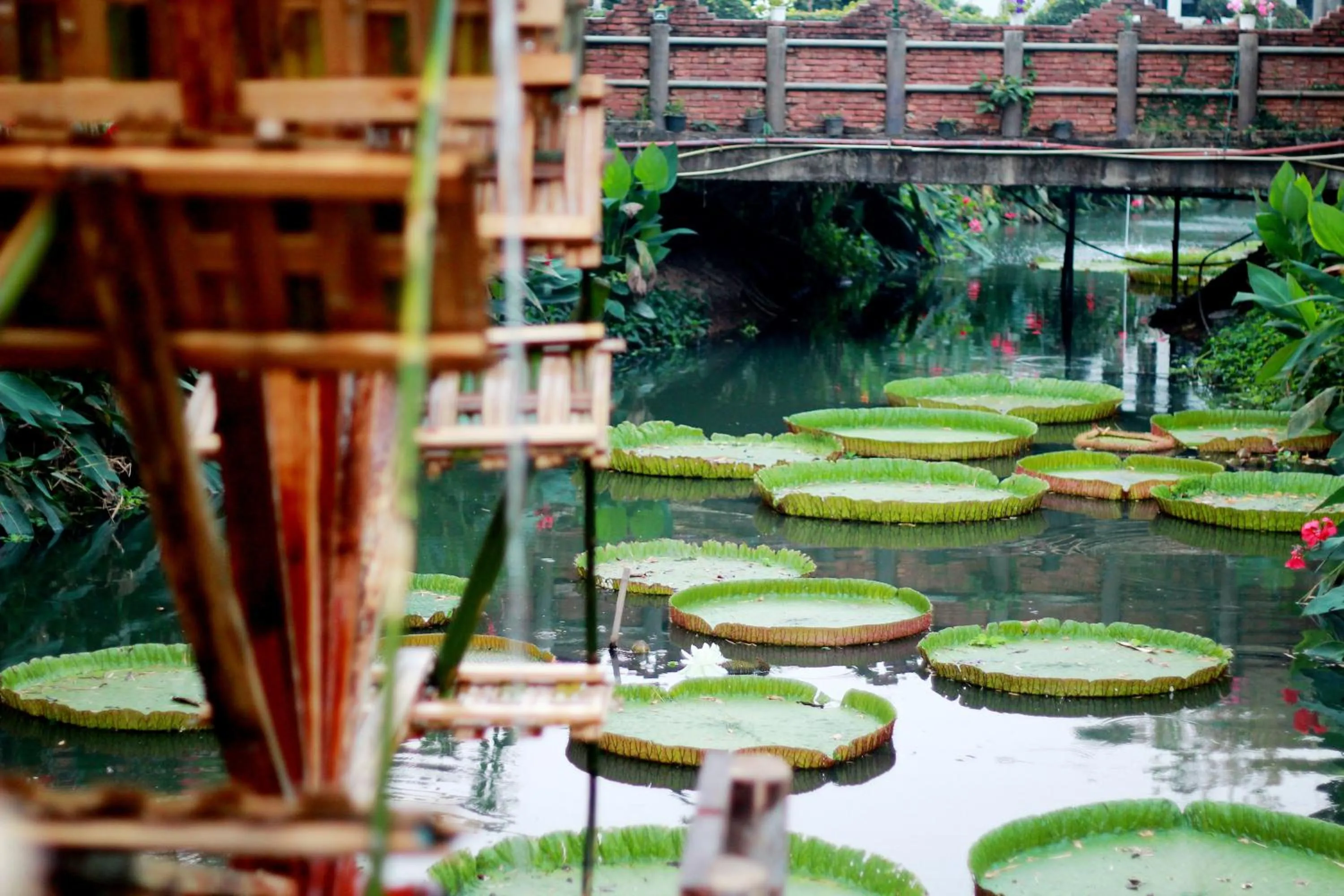 Natural landscape in NIM SEE SENG Hotel