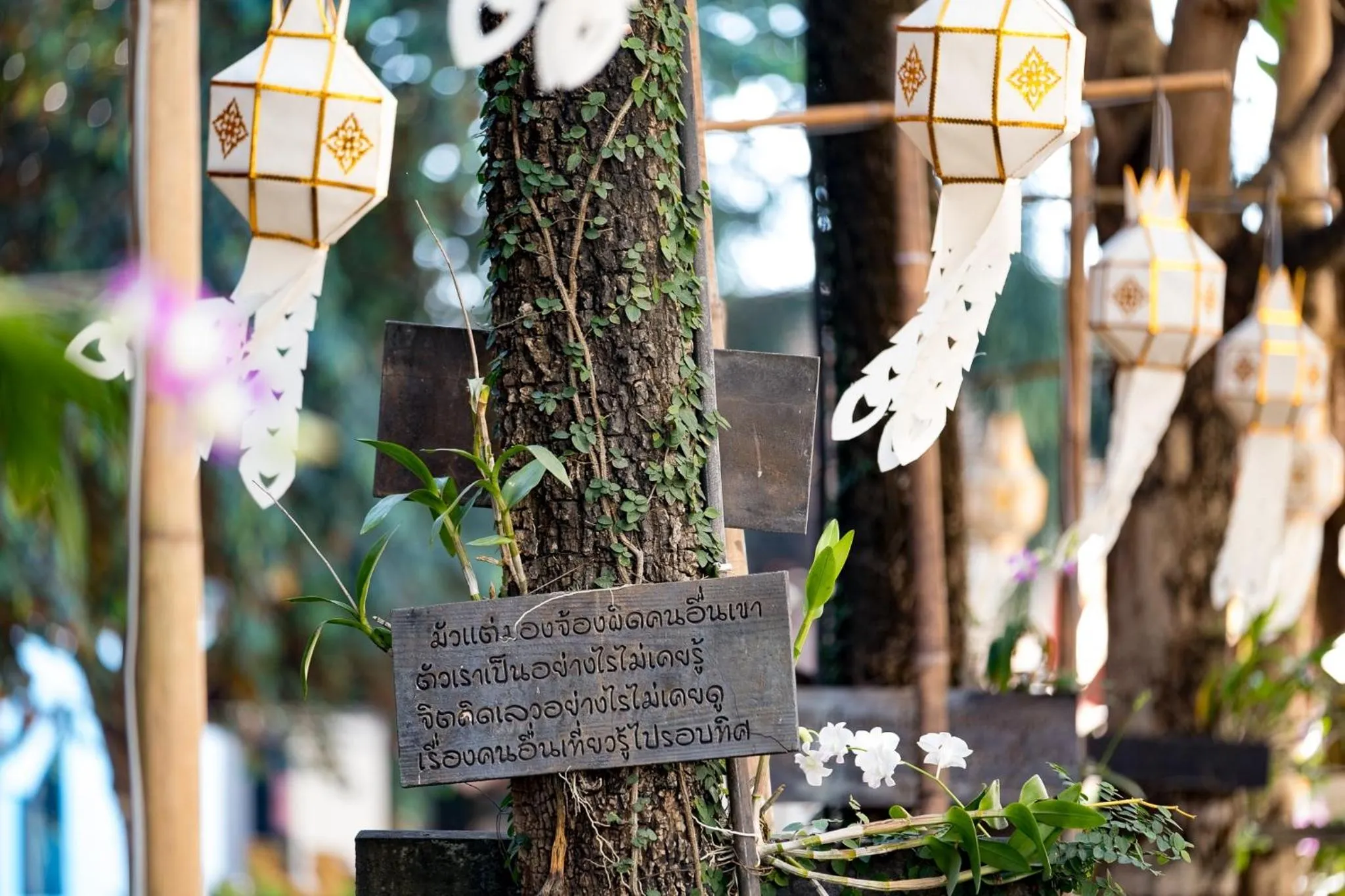 Garden in NIM SEE SENG Hotel