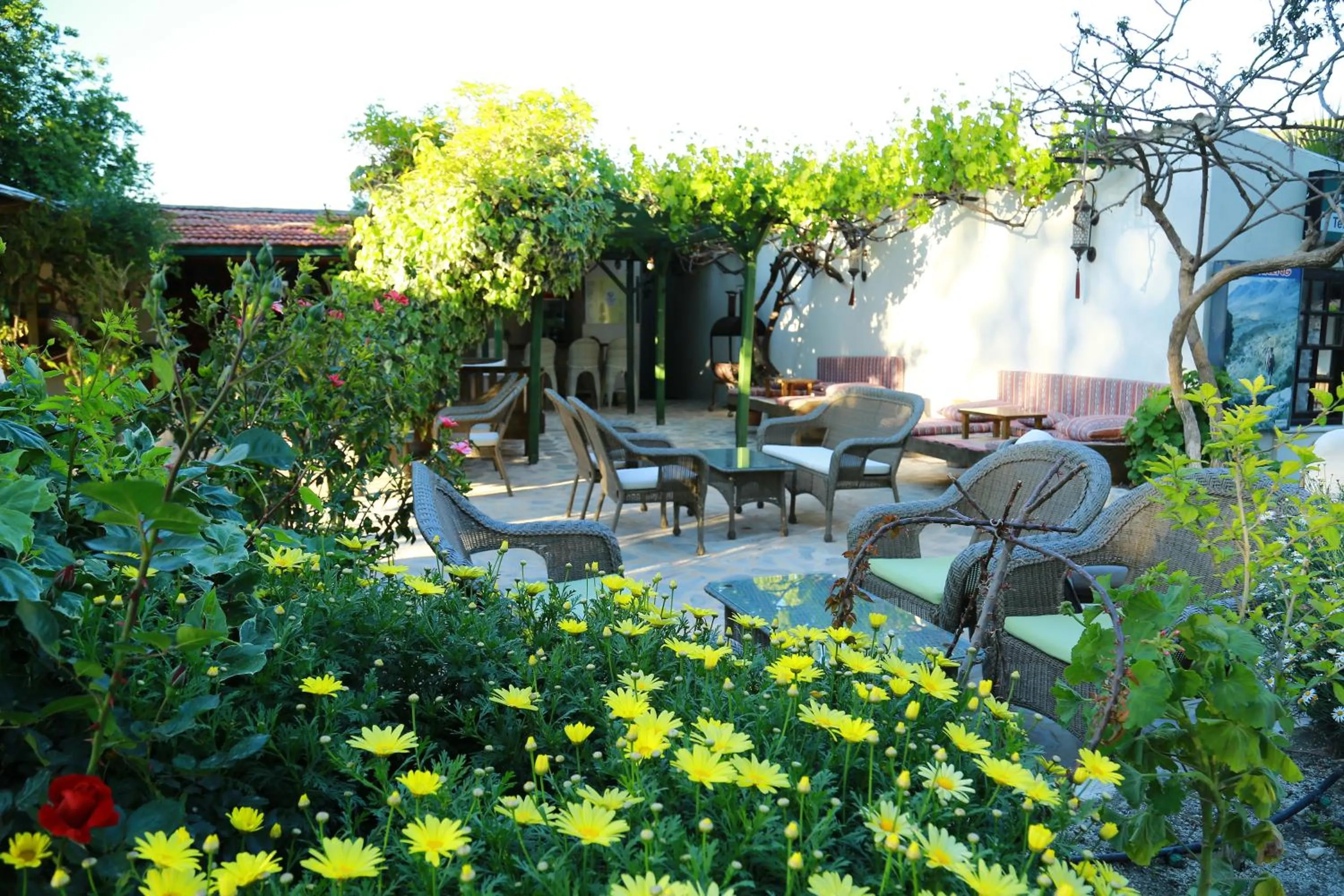 Garden in Dardanos Hotel