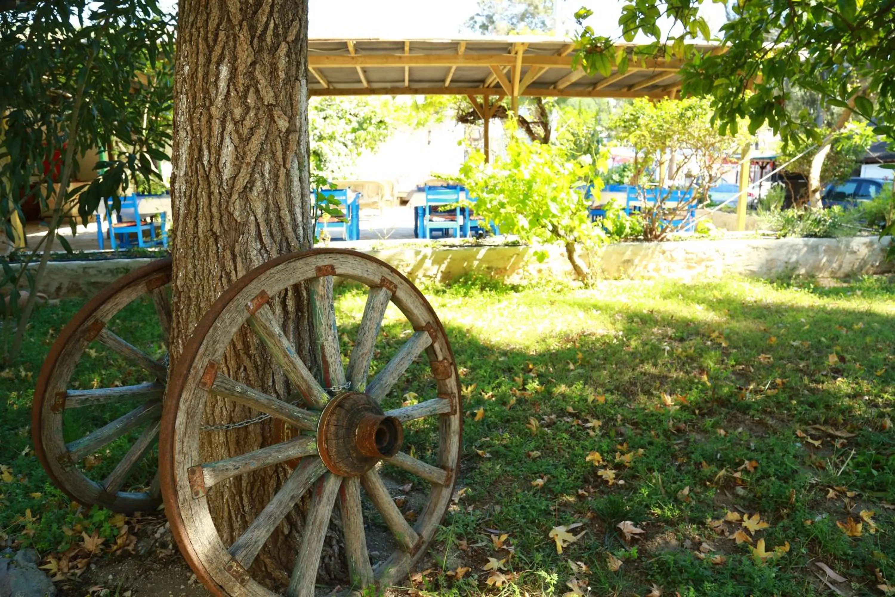 Garden in Dardanos Hotel