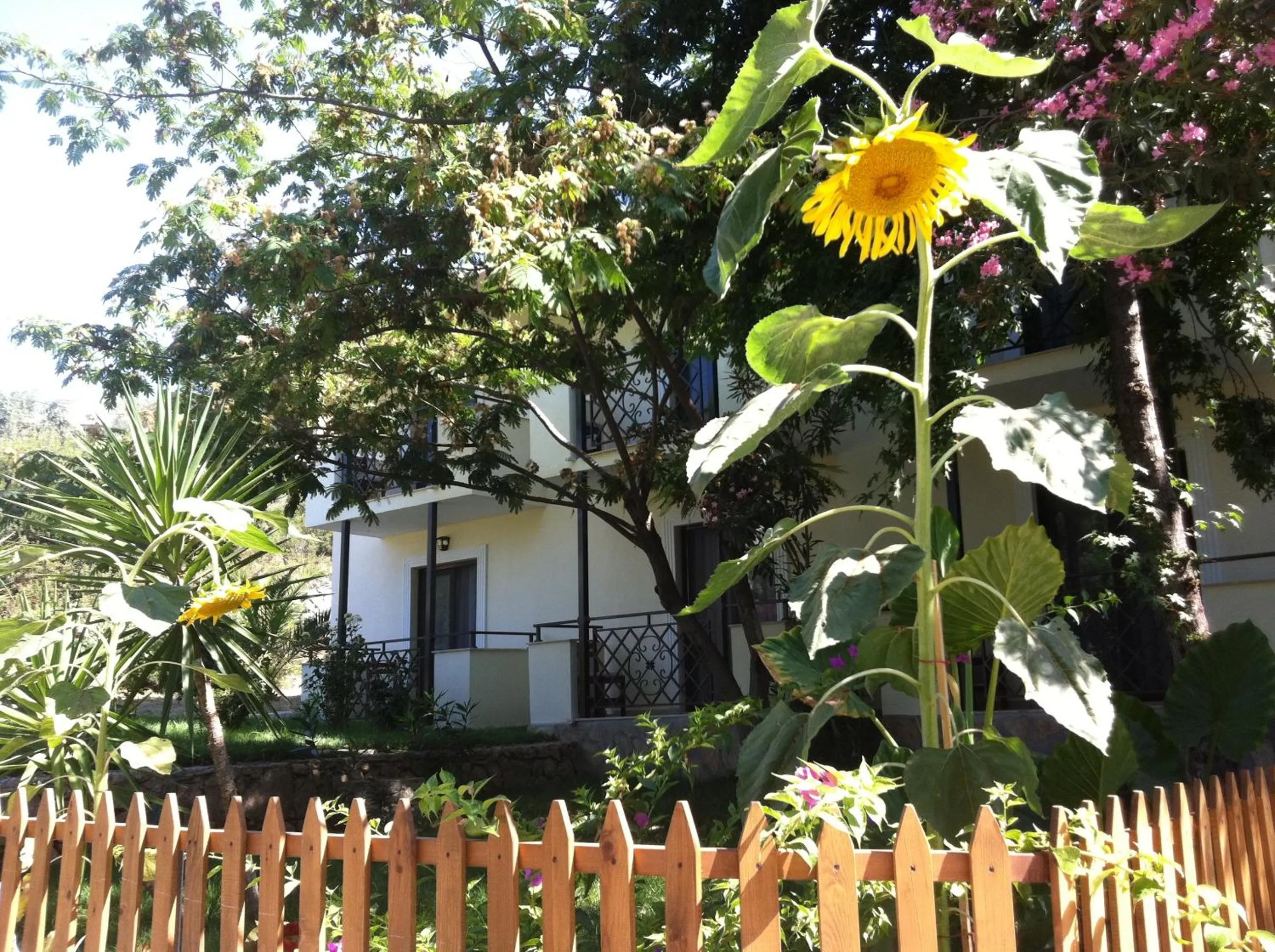 Facade/entrance in Dardanos Hotel