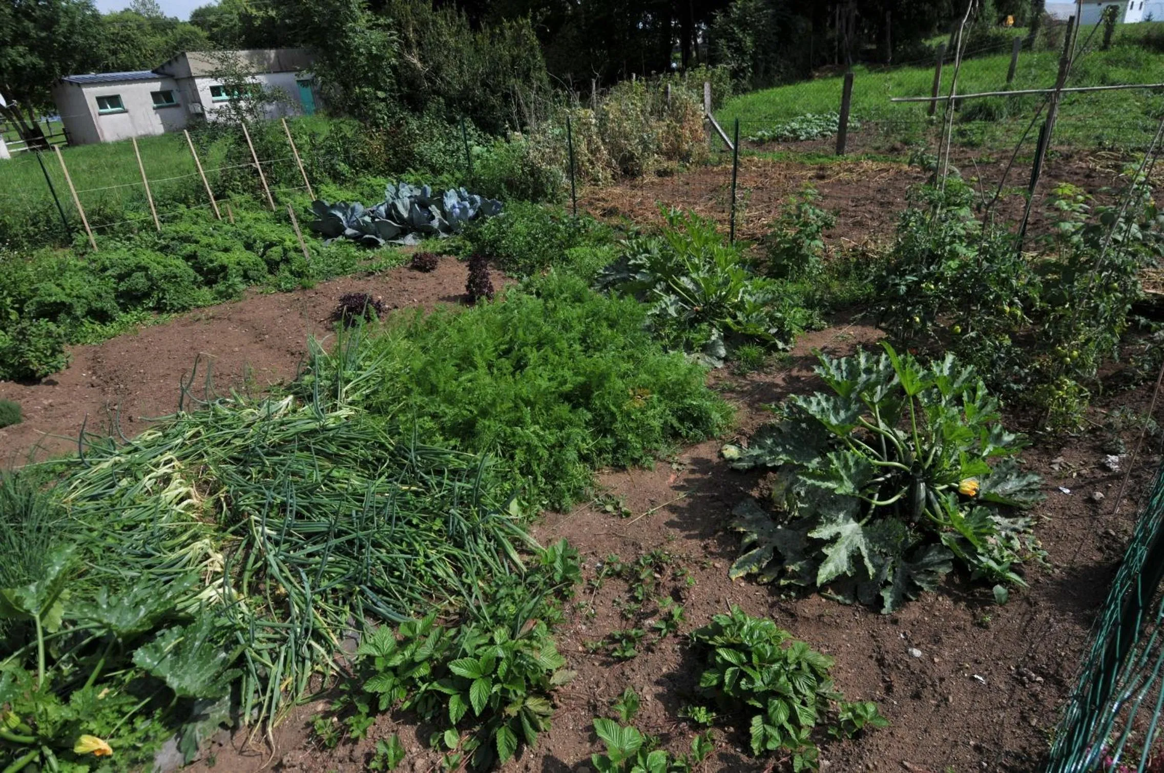 Garden in Auberge De La Providence