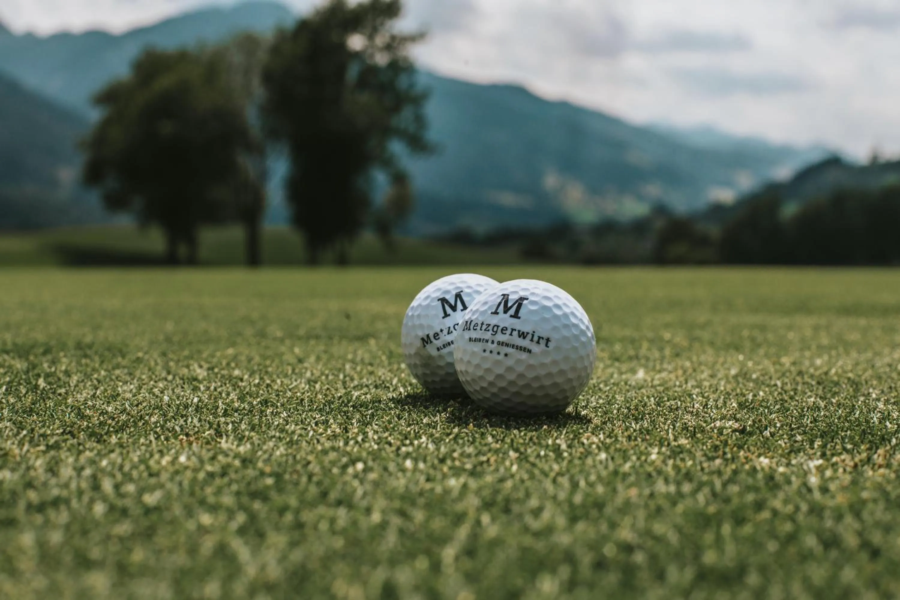 Natural landscape in Hotel Metzgerwirt