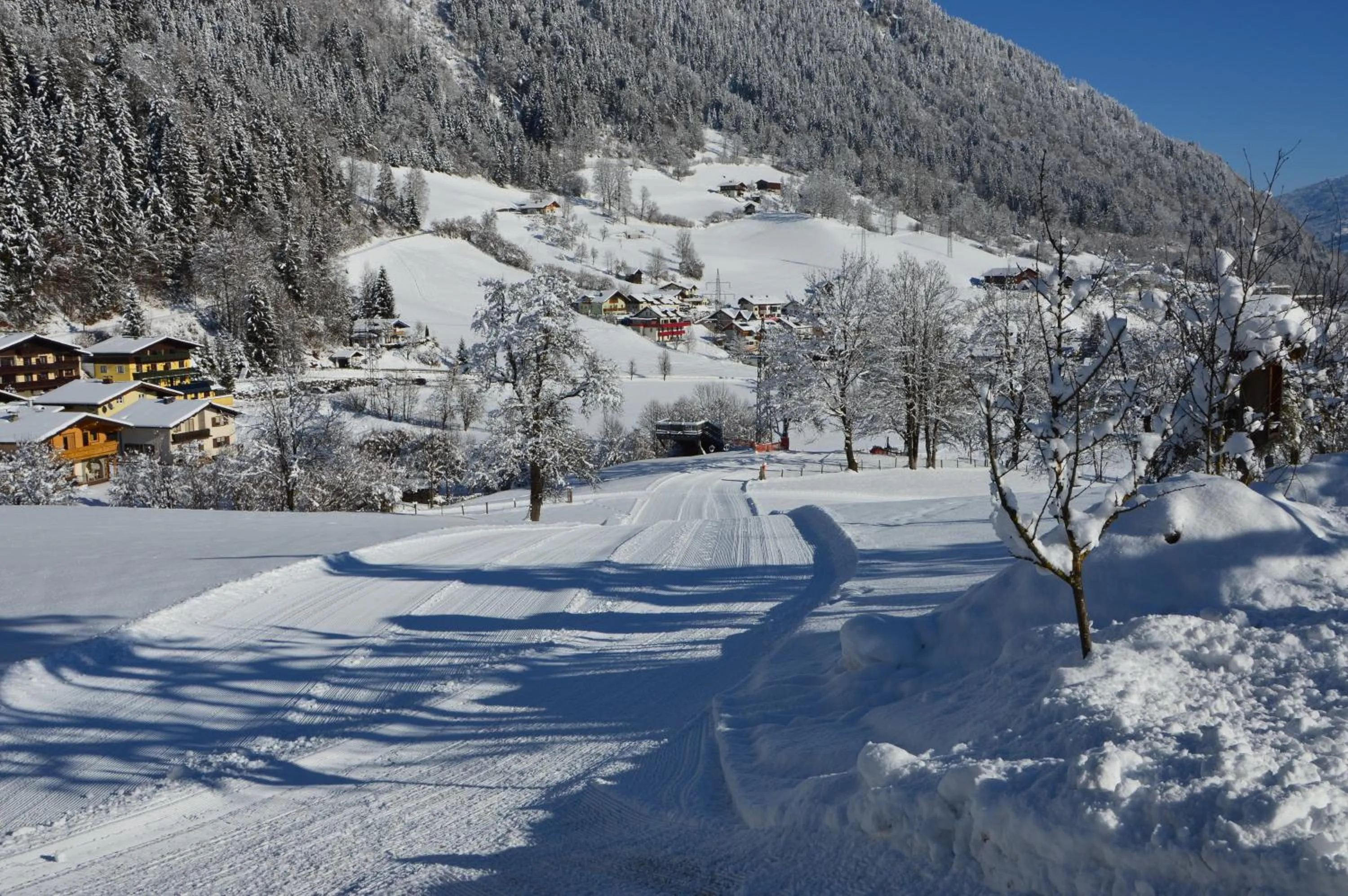Natural landscape in Hotel Metzgerwirt