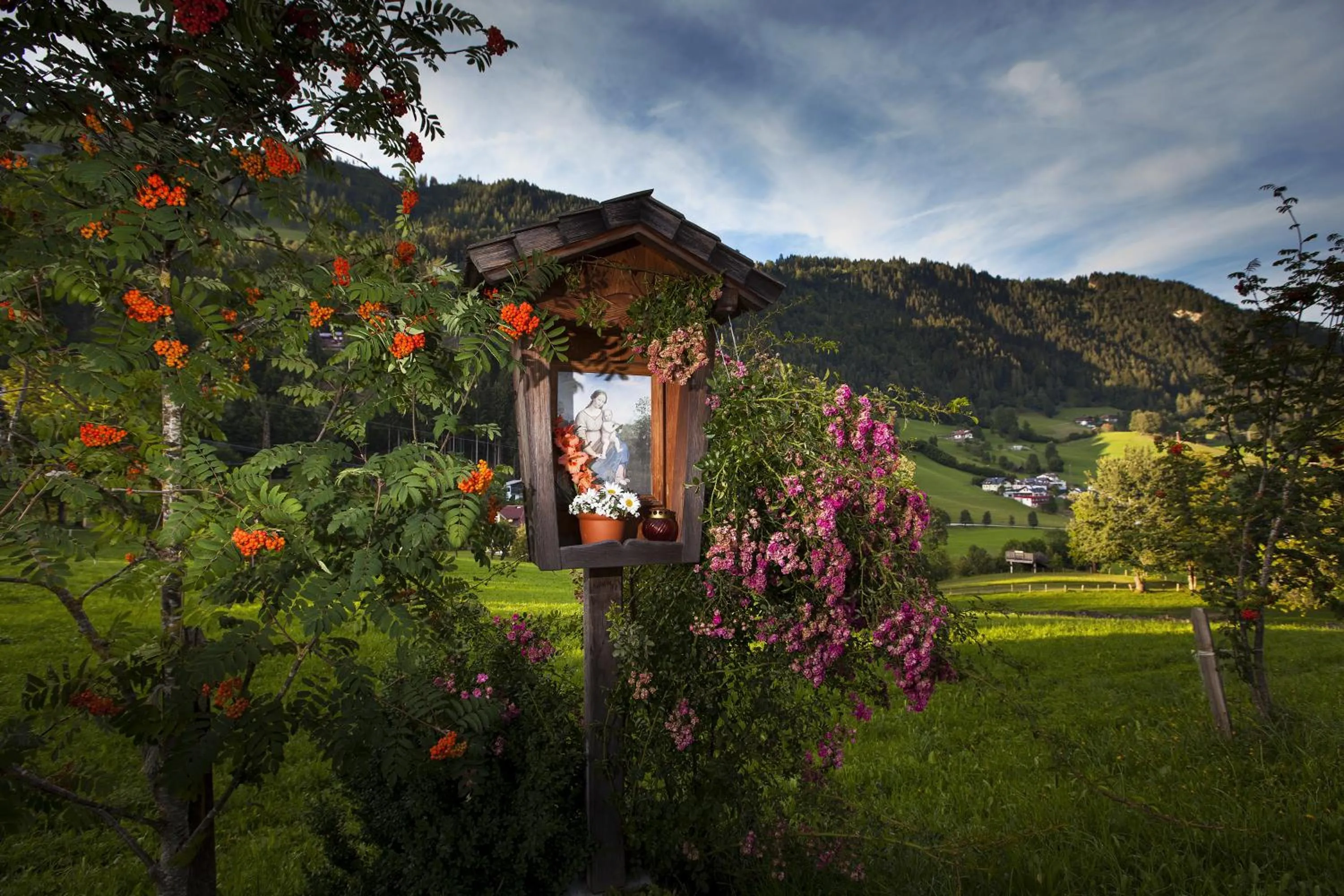 Natural landscape in Hotel Metzgerwirt