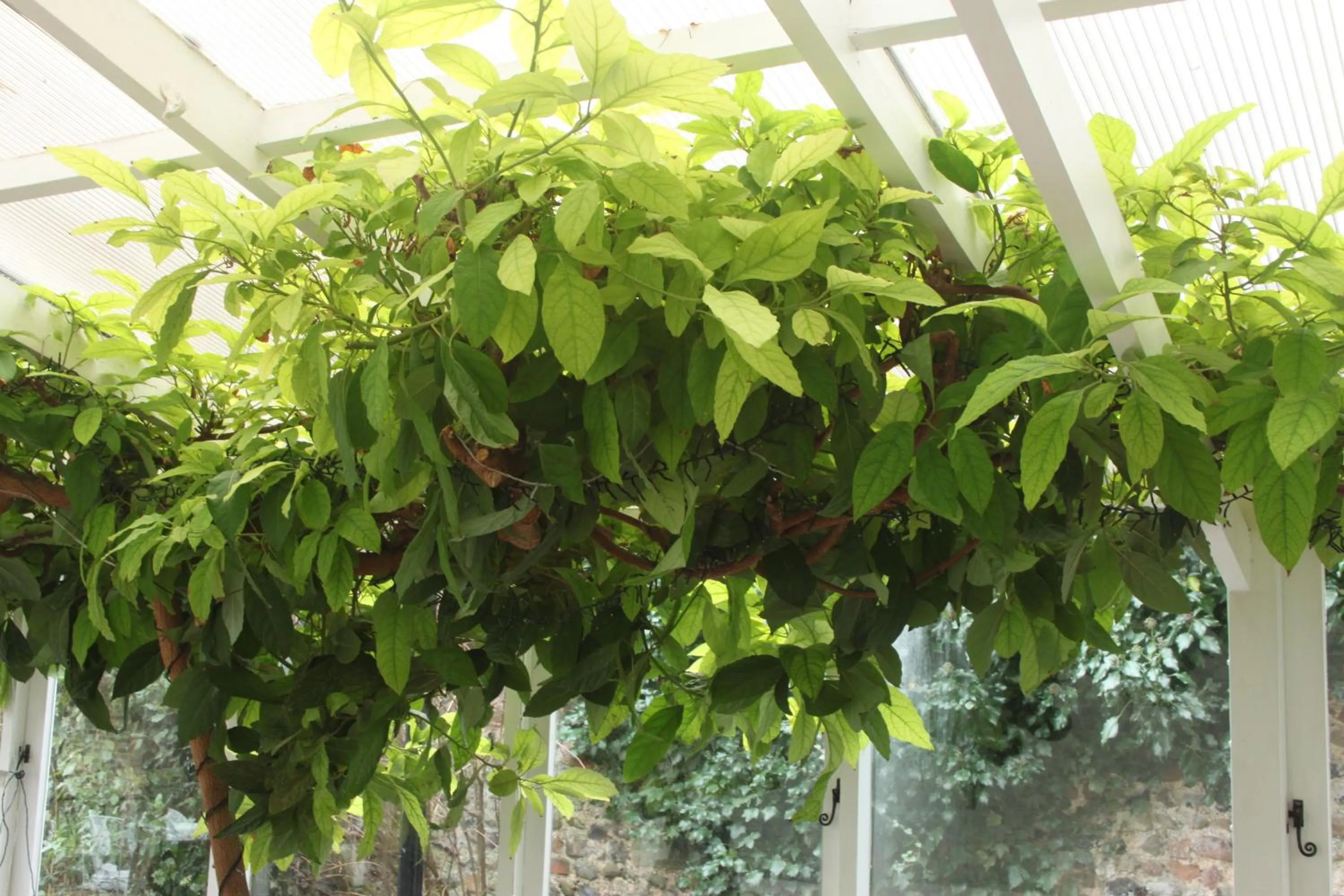 Other in The Crown House Inn